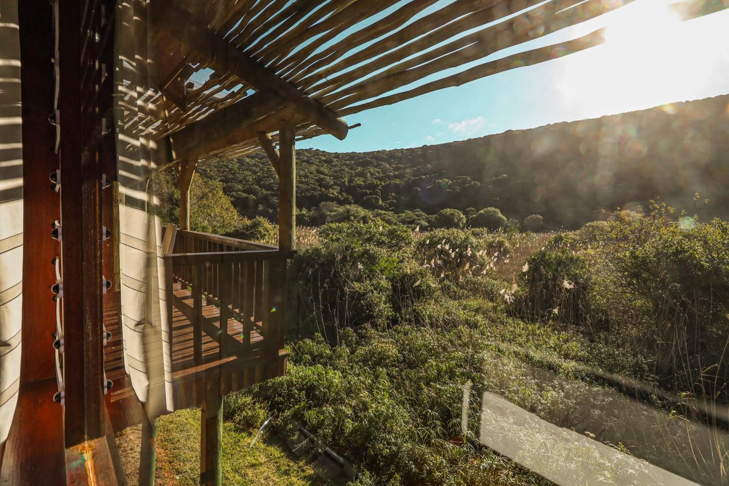 Spring in Thunzi Bush Lodge