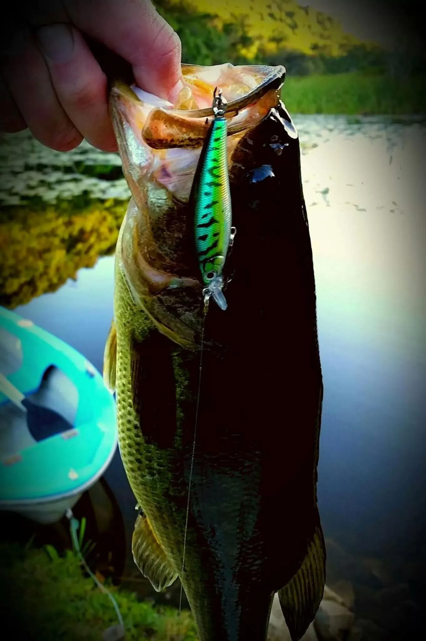 Spring in Thunzi Bush Lodge