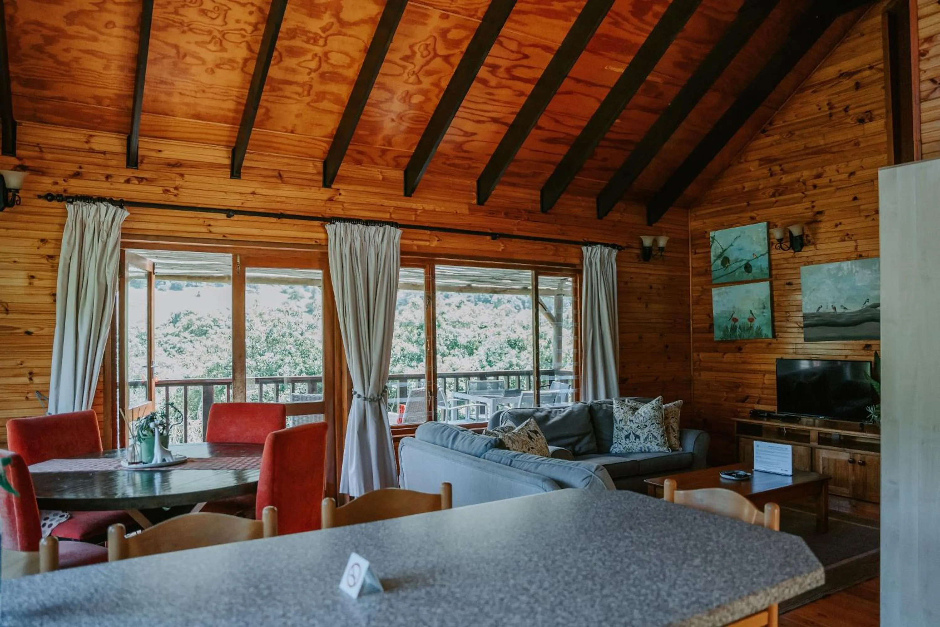 TV and multimedia in Thunzi Bush Lodge