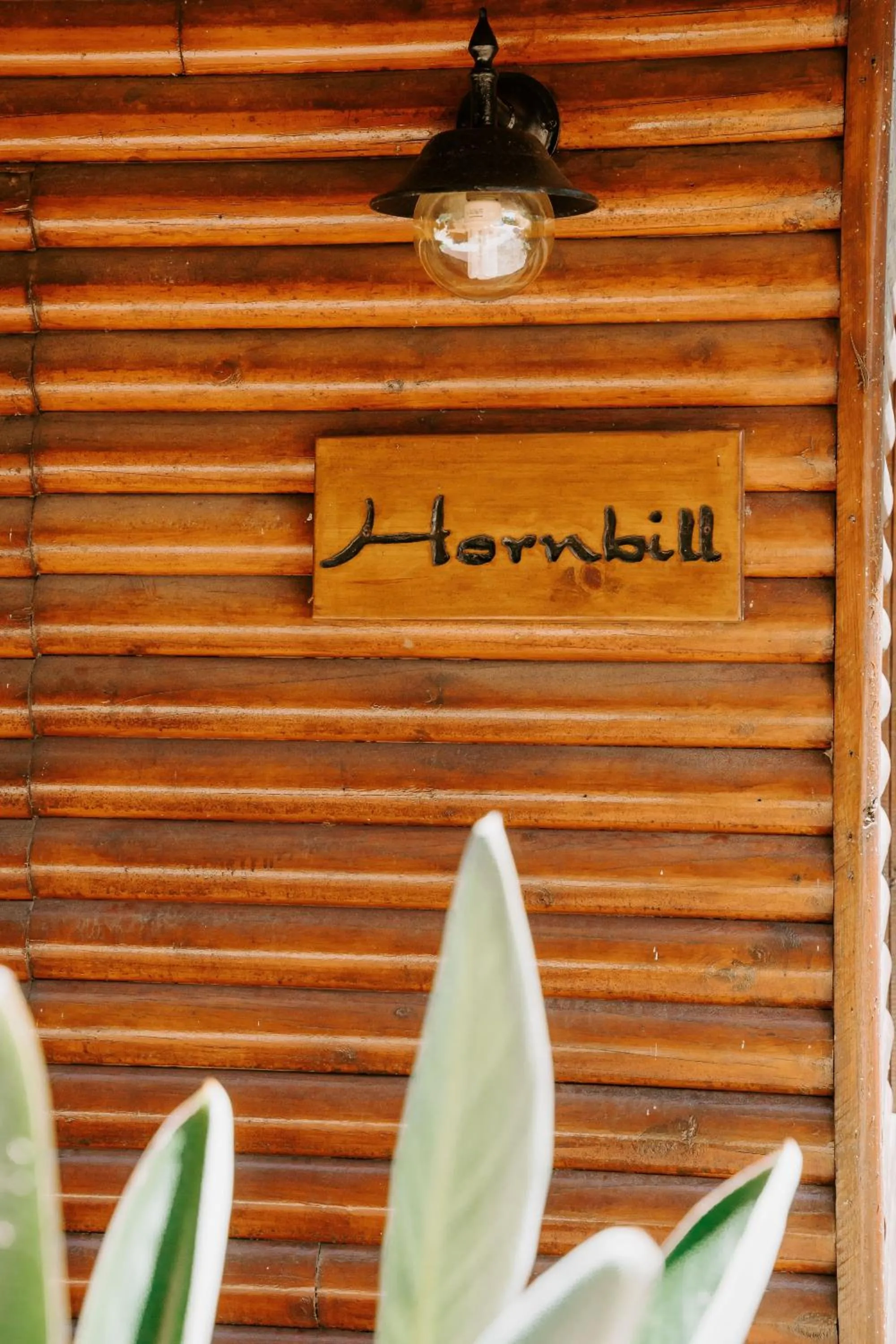 Property logo or sign in Thunzi Bush Lodge