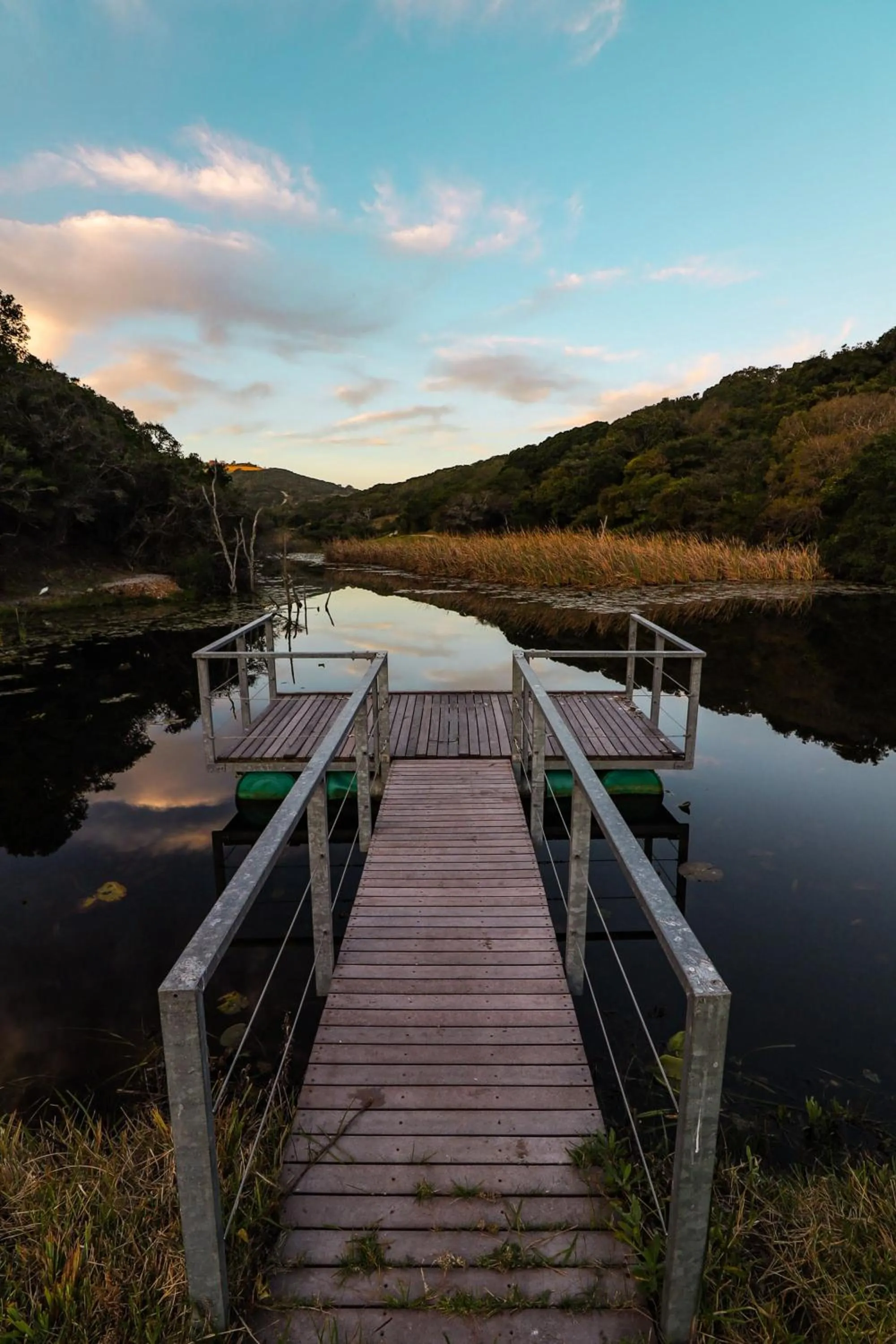 Natural landscape in Thunzi Bush Lodge