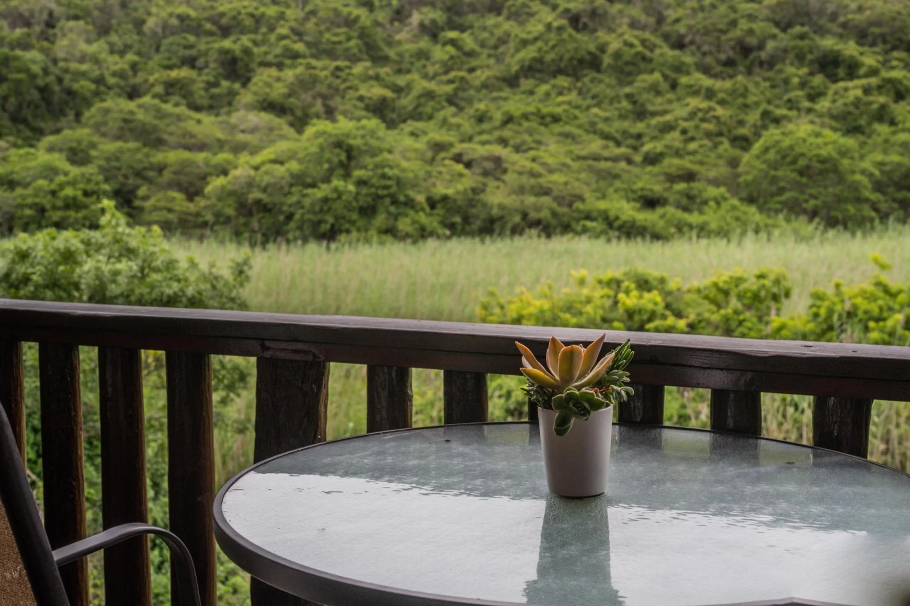 Natural landscape in Thunzi Bush Lodge