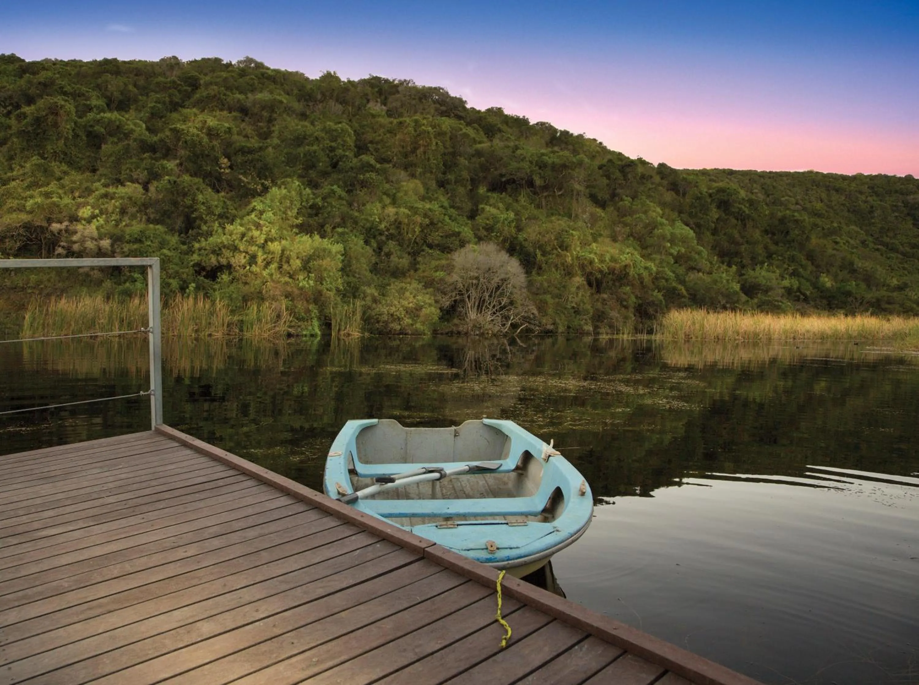 Natural landscape in Thunzi Bush Lodge