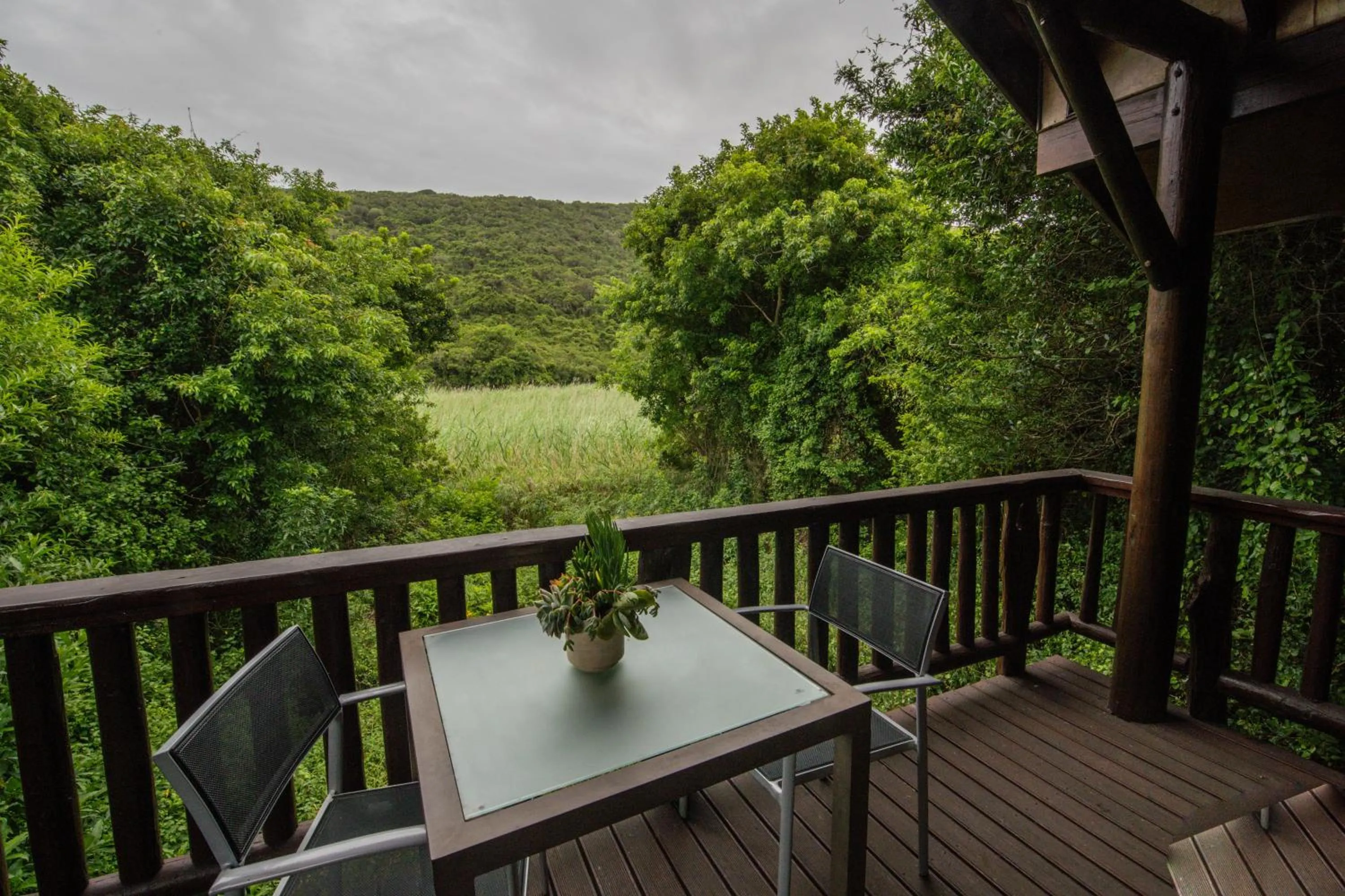Natural landscape in Thunzi Bush Lodge