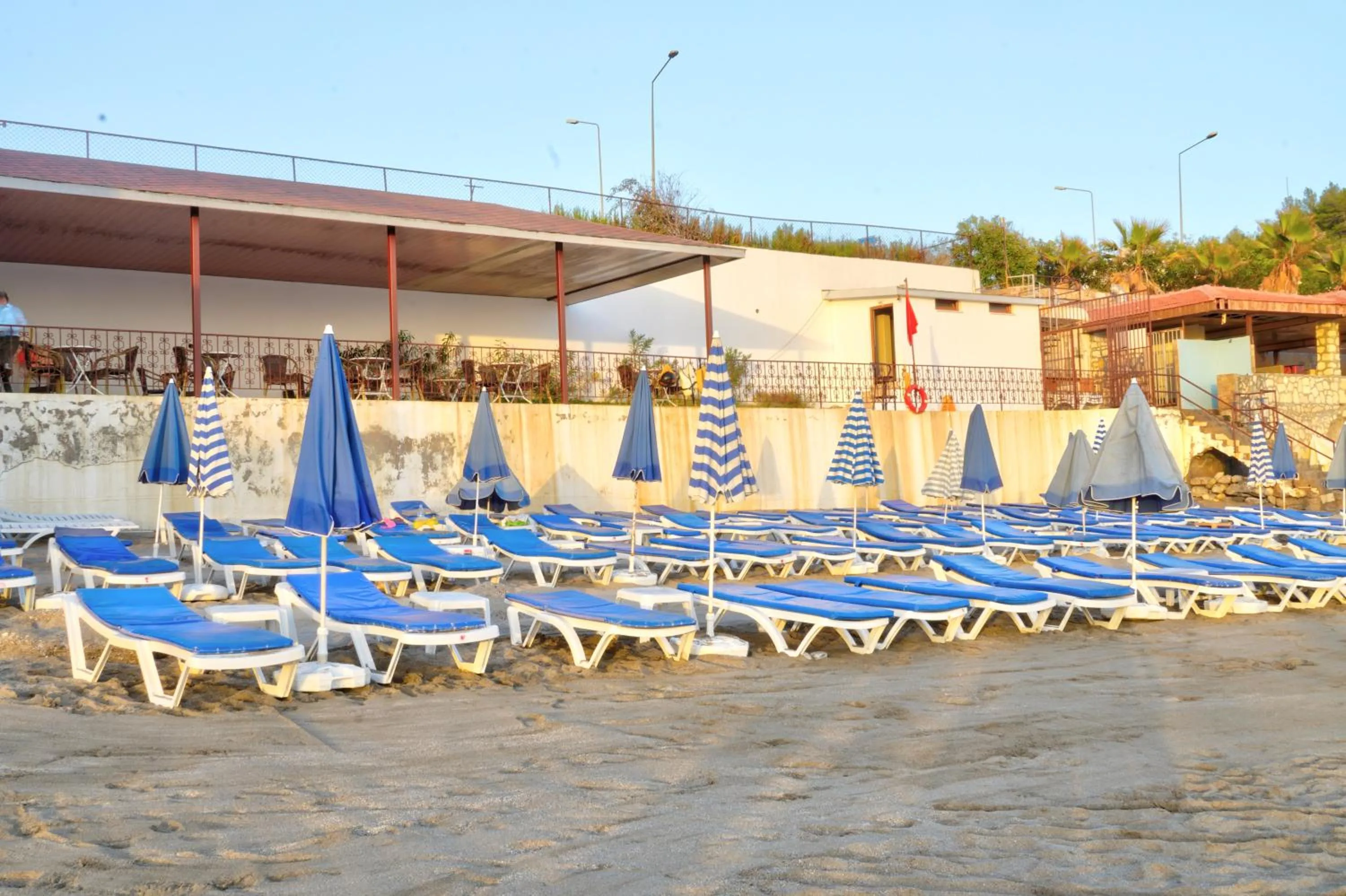 Beach in Blue Fish Hotel All Inclusive
