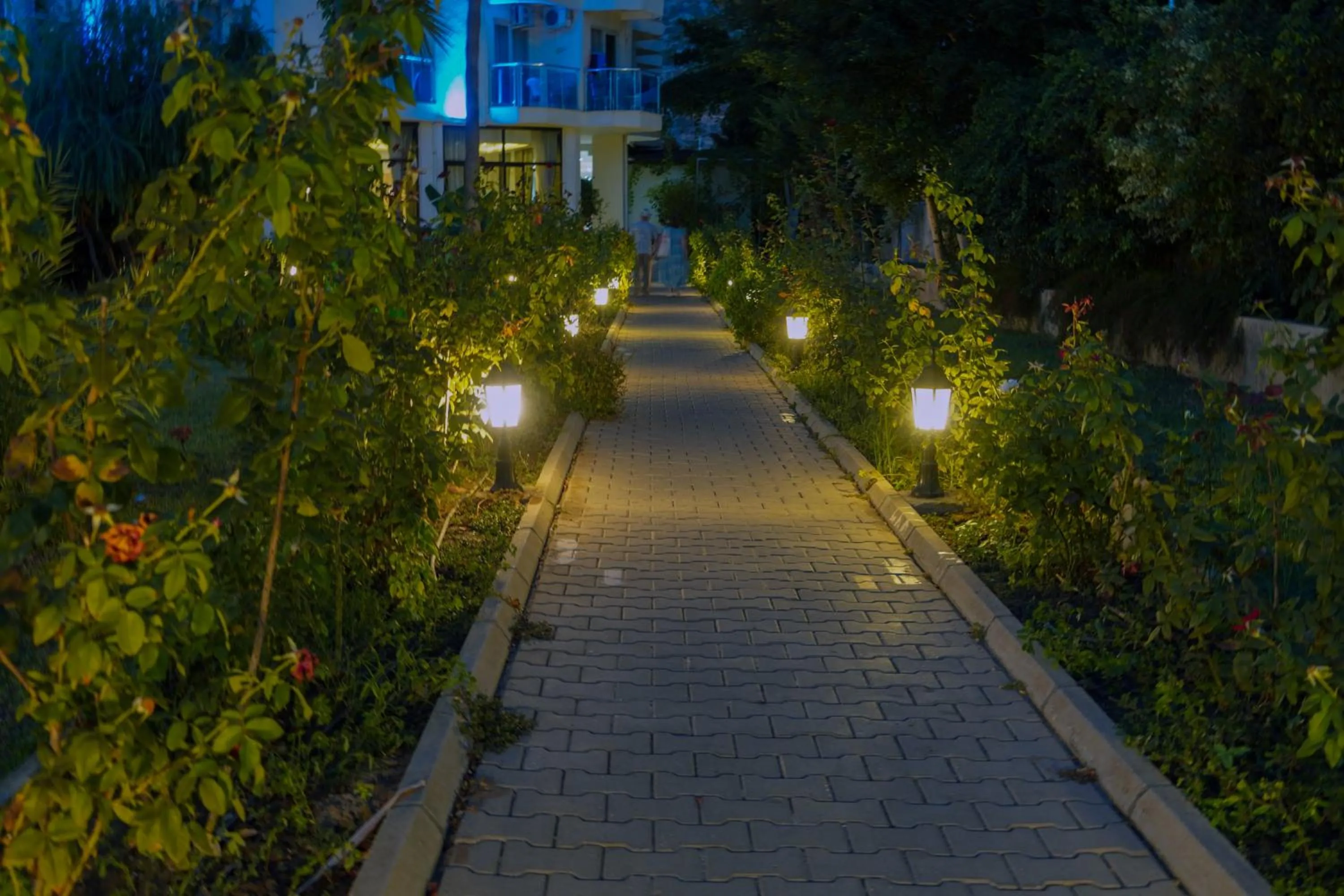 Night in Blue Fish Hotel All Inclusive