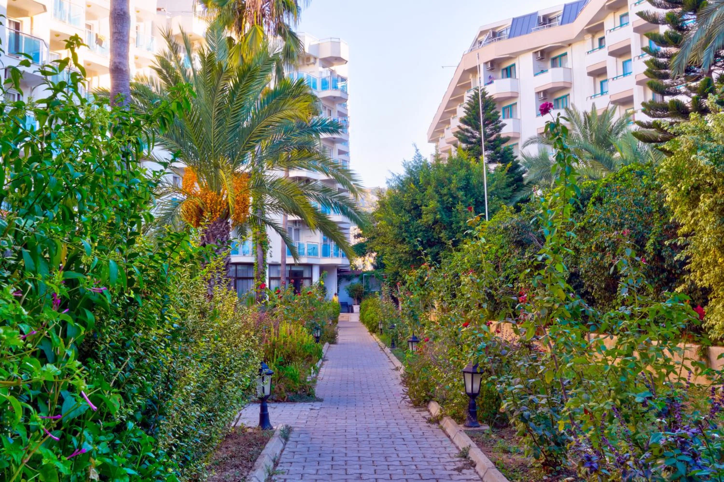 Garden in Blue Fish Hotel All Inclusive