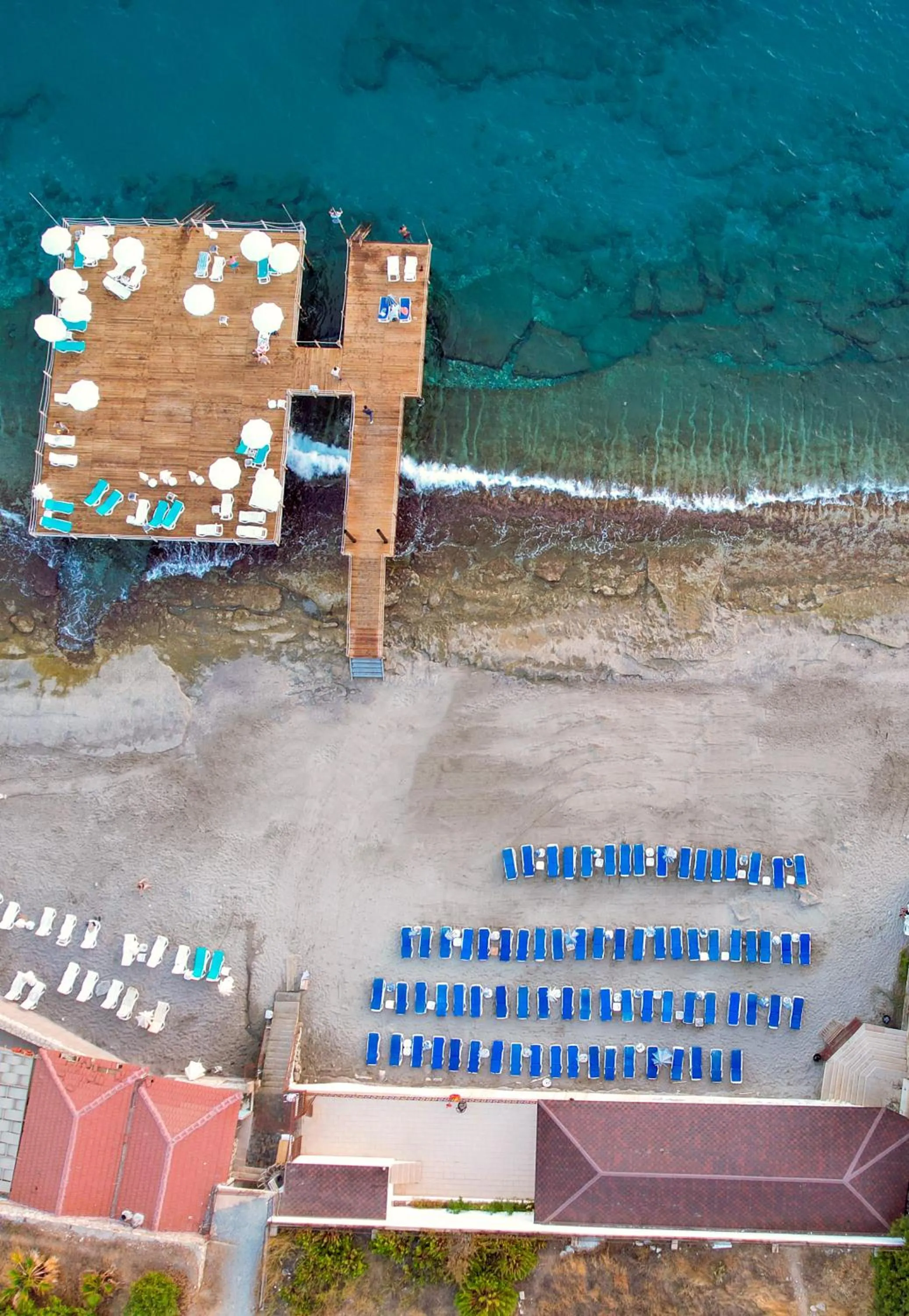 Day in Blue Fish Hotel All Inclusive