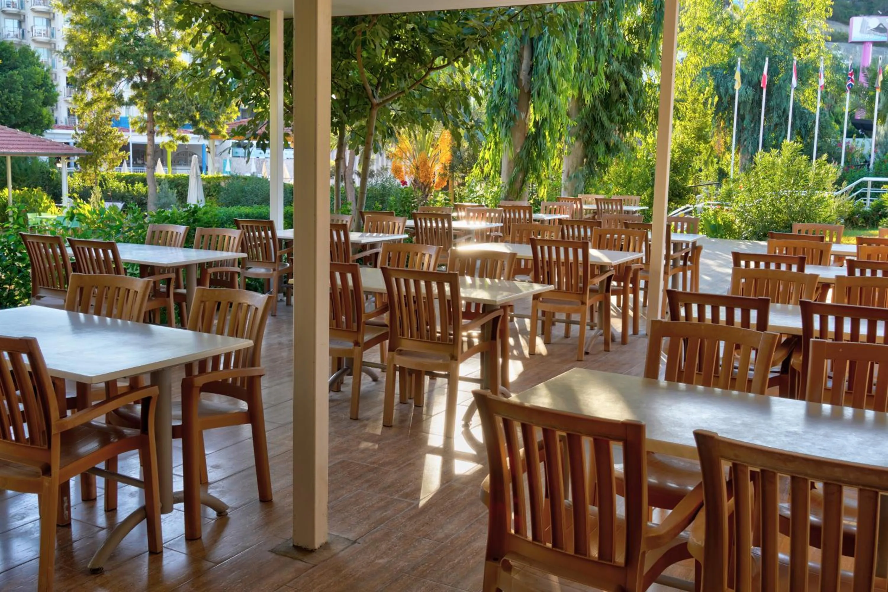 Garden in Blue Fish Hotel All Inclusive