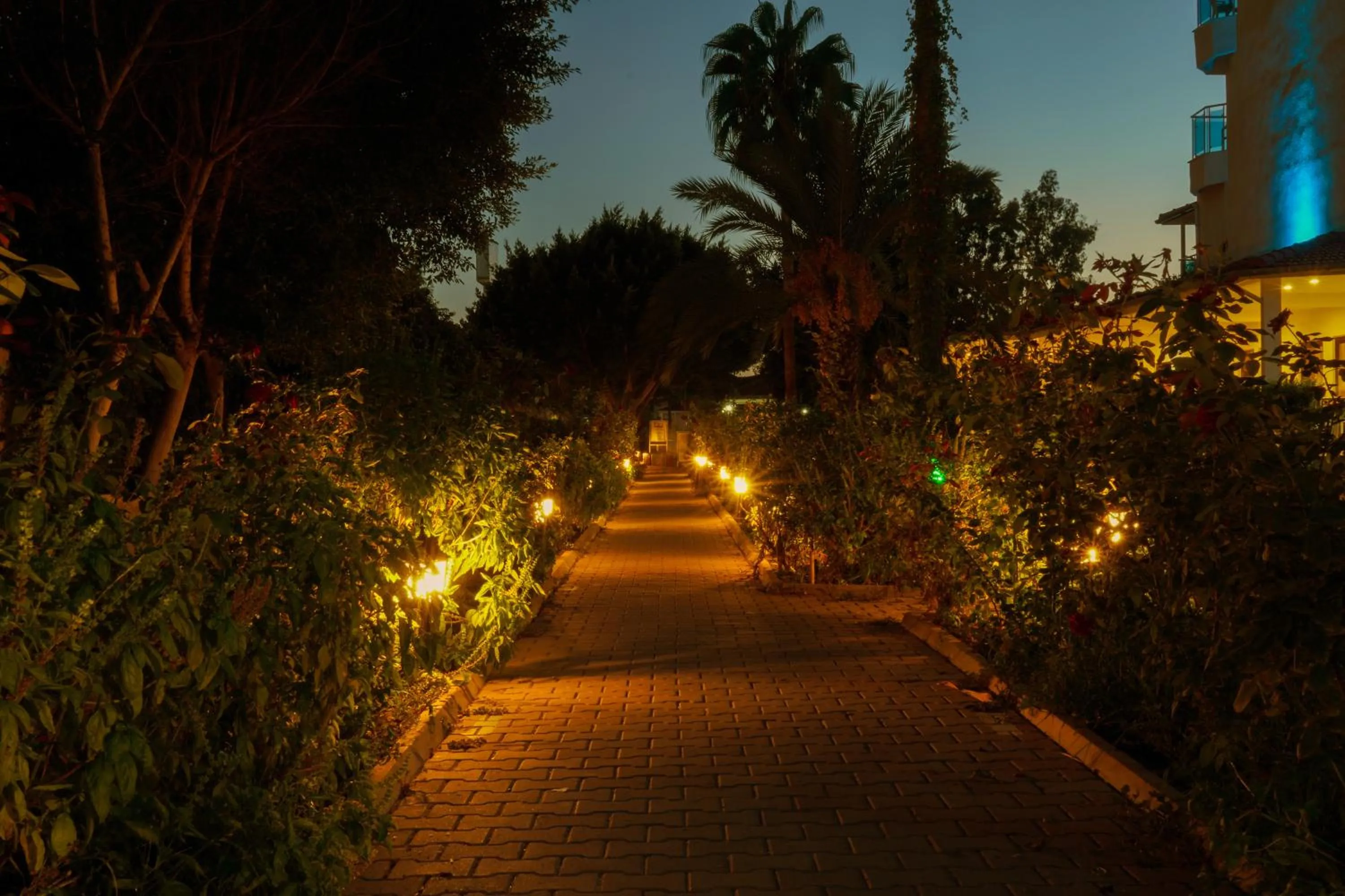 Night in Blue Fish Hotel All Inclusive