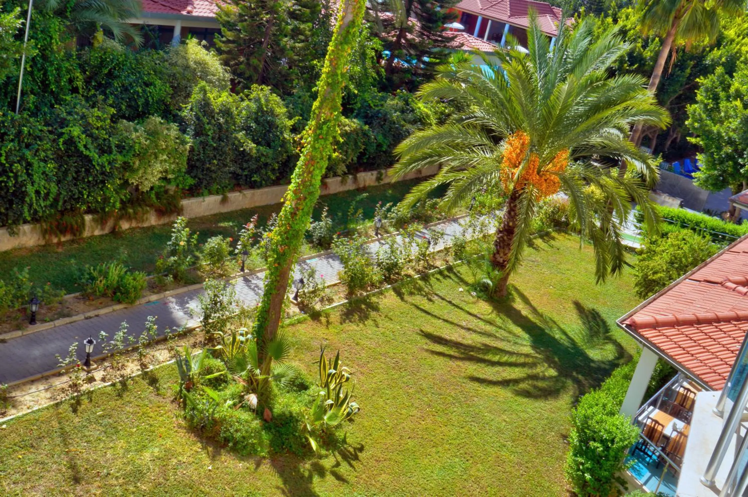 Garden view in Blue Fish Hotel All Inclusive