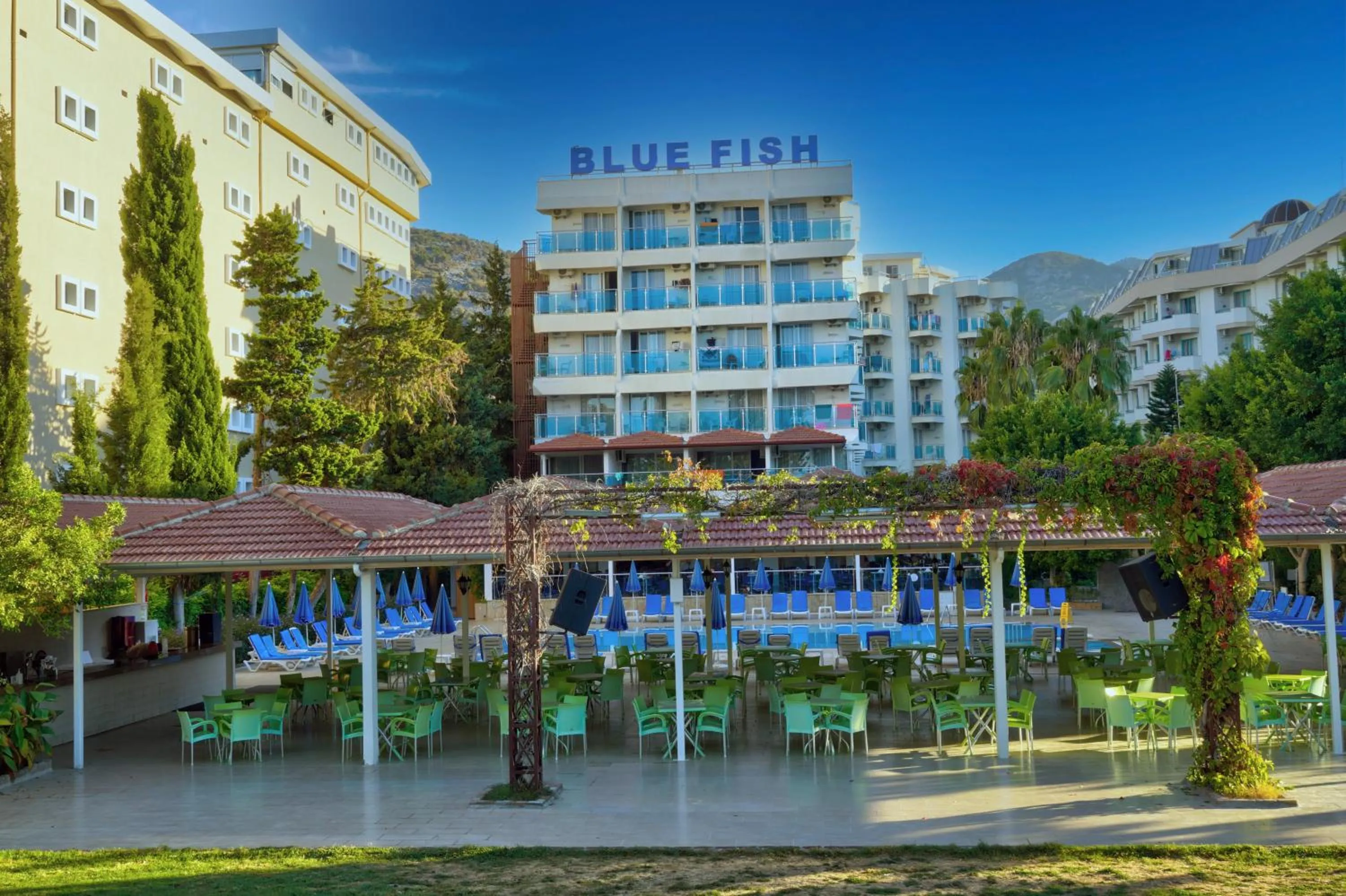 Garden in Blue Fish Hotel All Inclusive