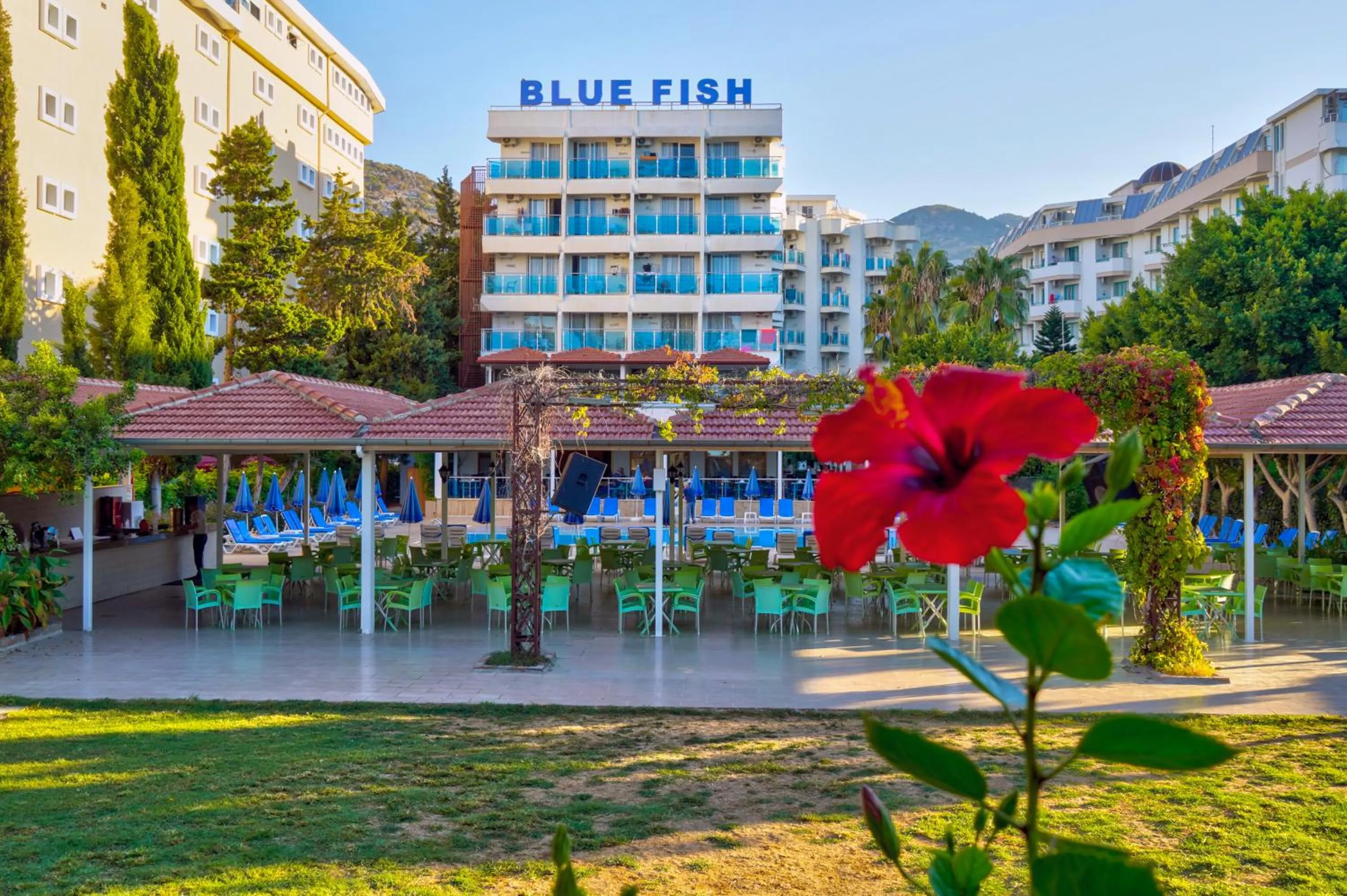Property building in Blue Fish Hotel All Inclusive