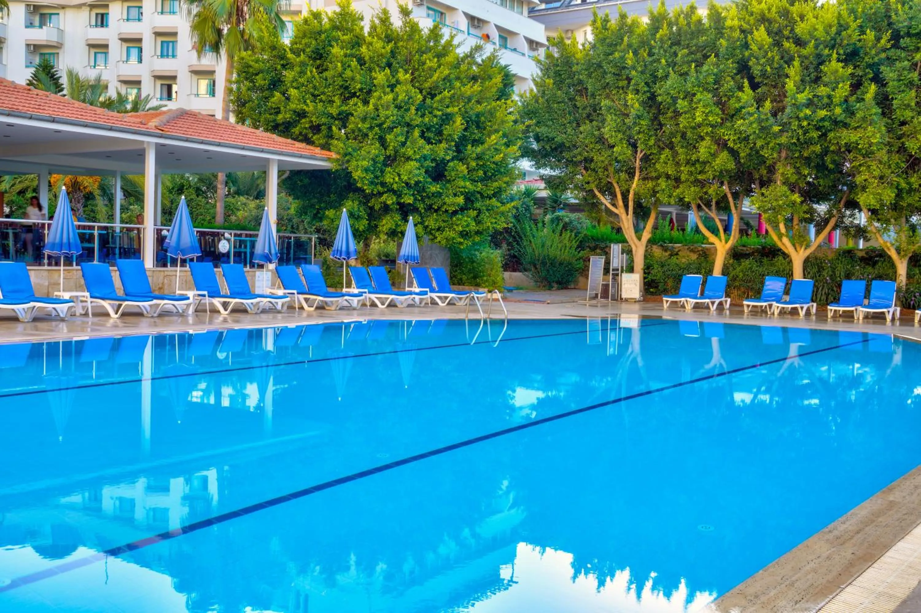 Pool view in Blue Fish Hotel All Inclusive