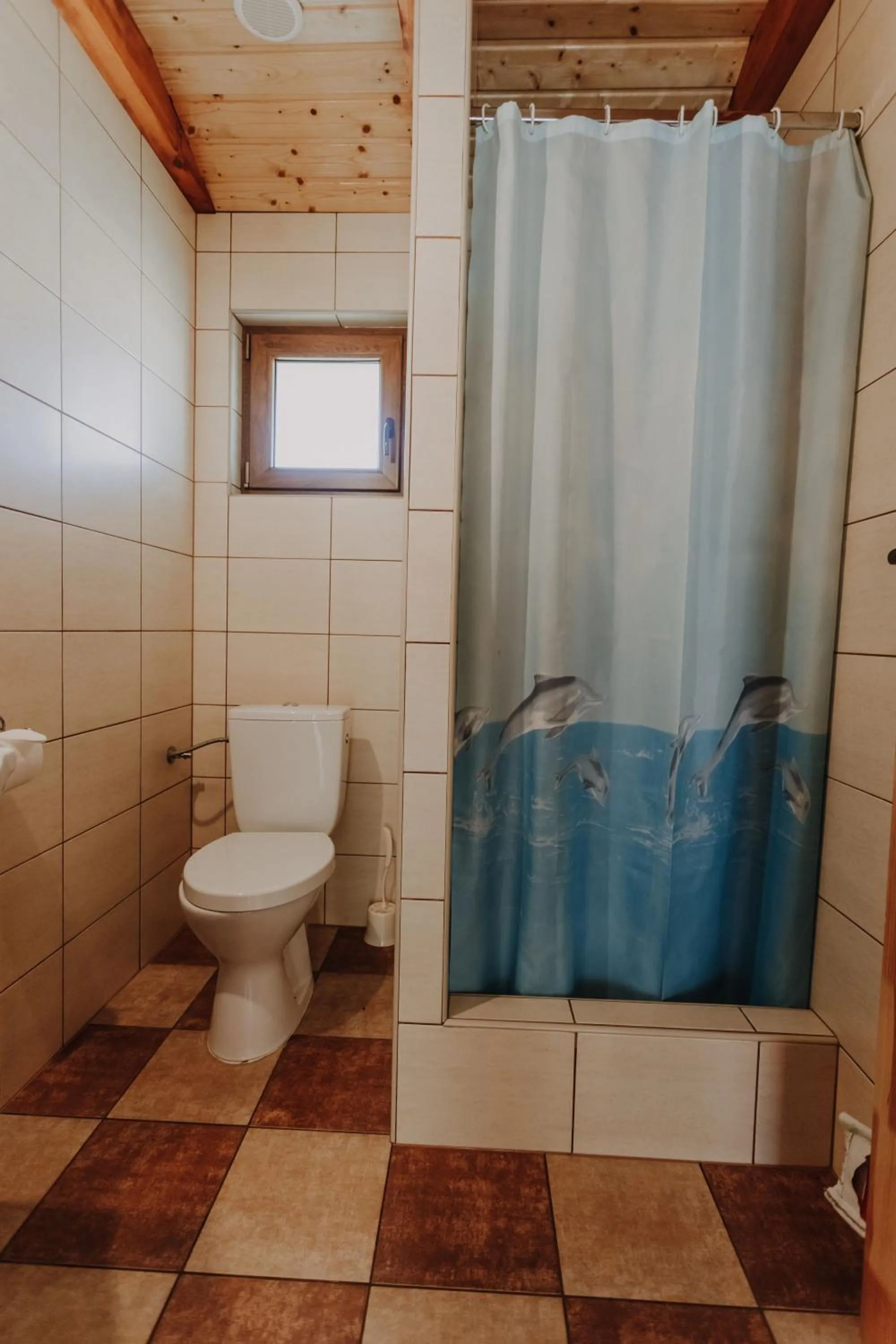 Shower in Domki Ania