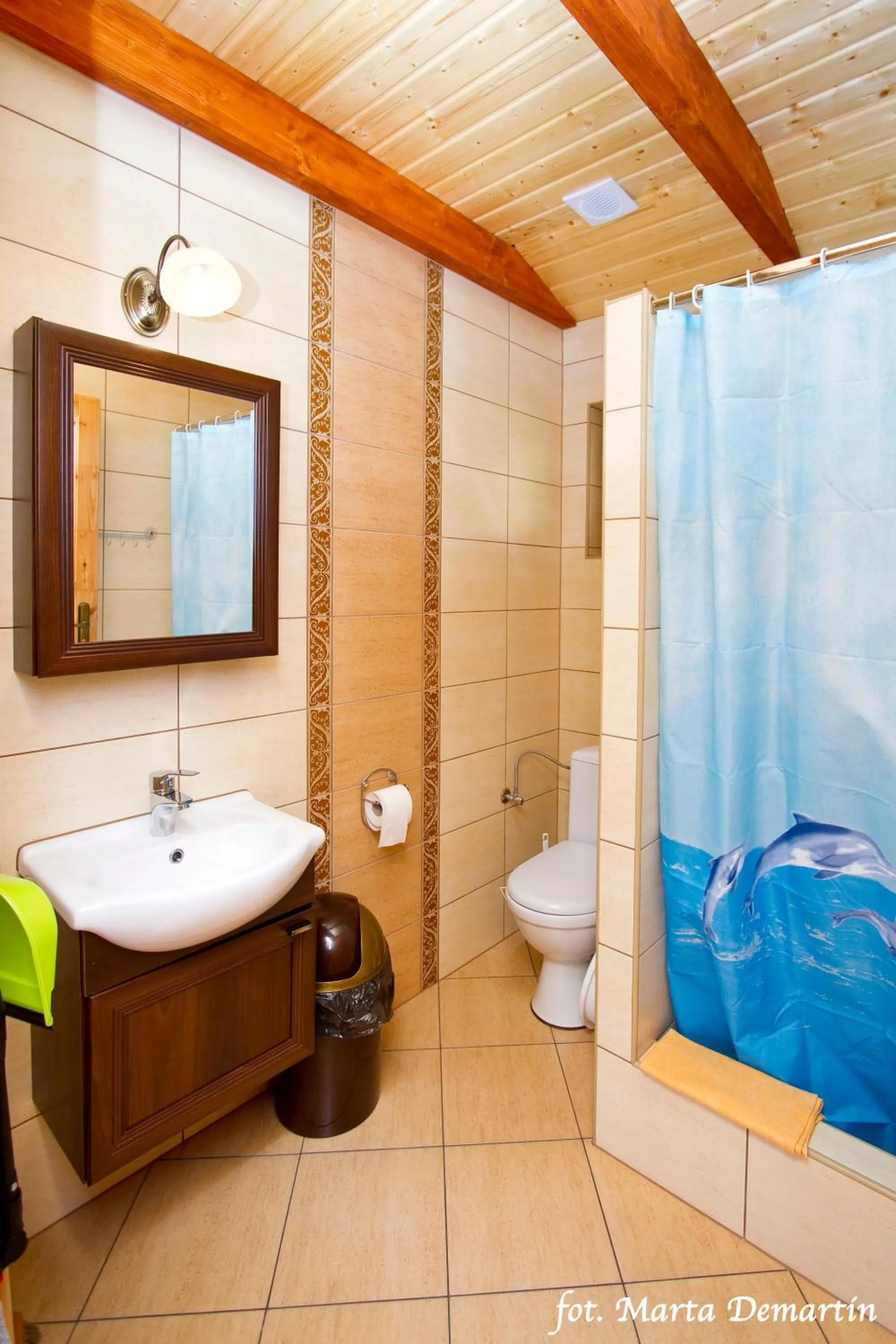 Toilet in Domki Ania