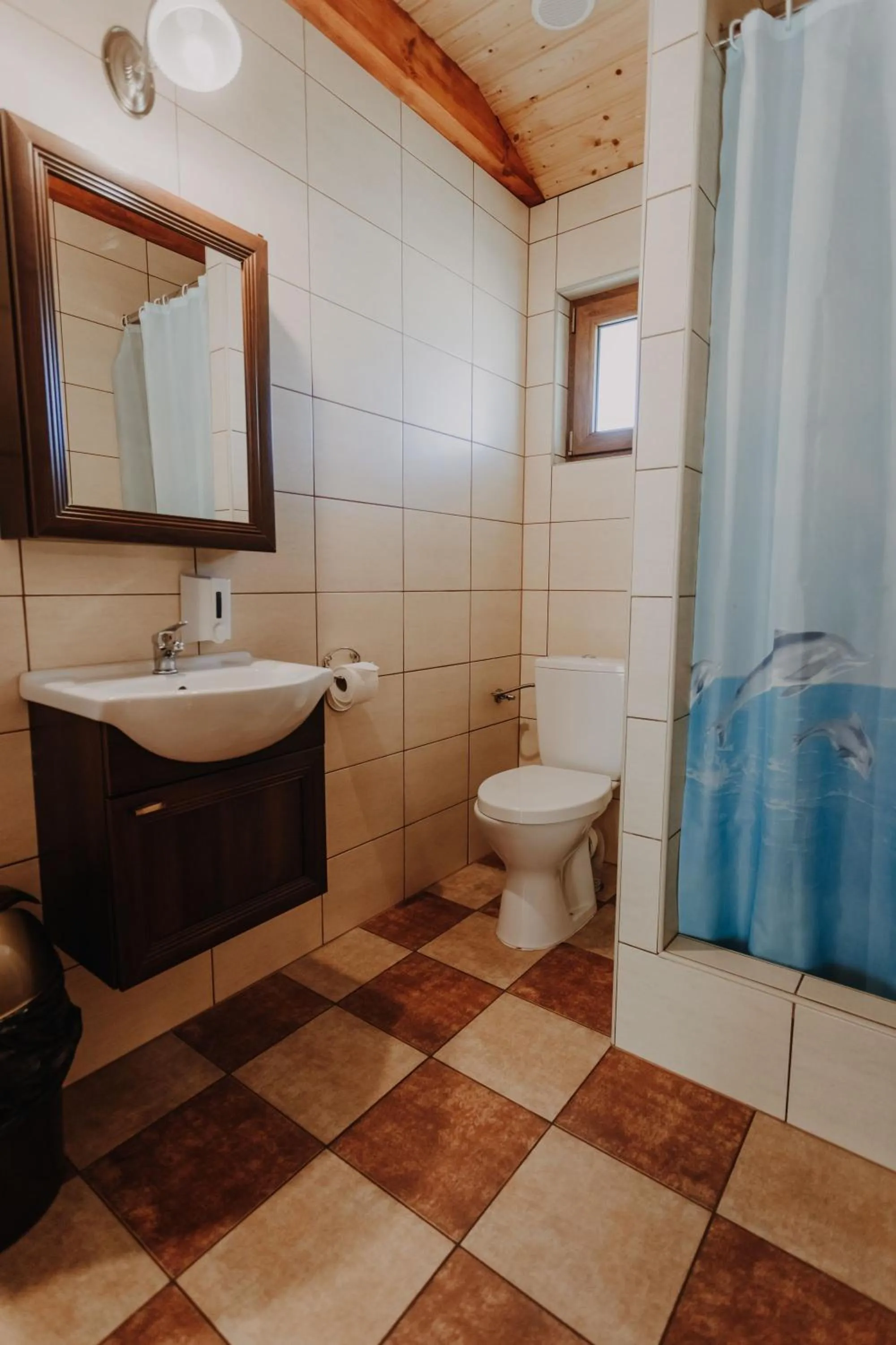 Shower in Domki Ania