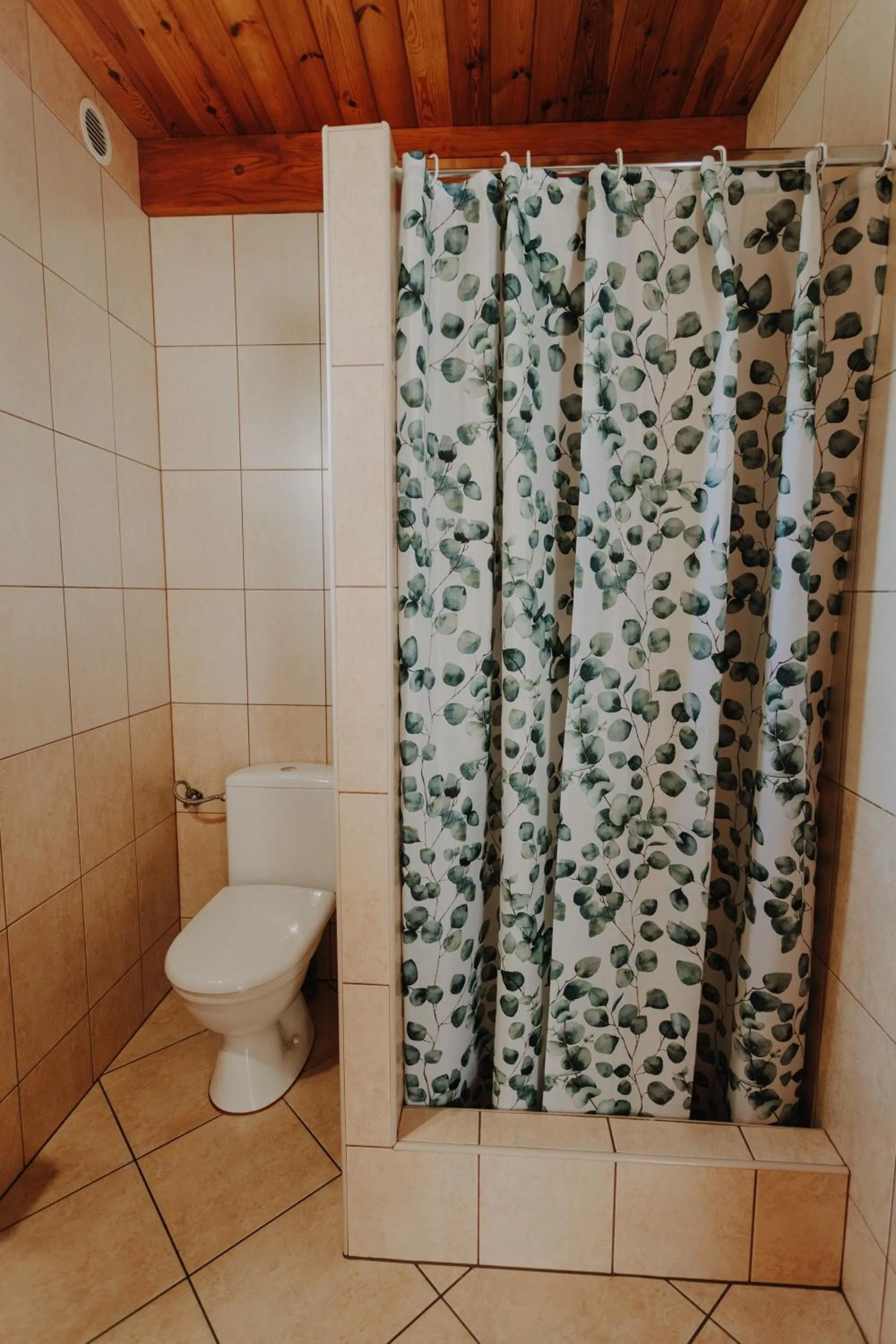 Shower in Domki Ania