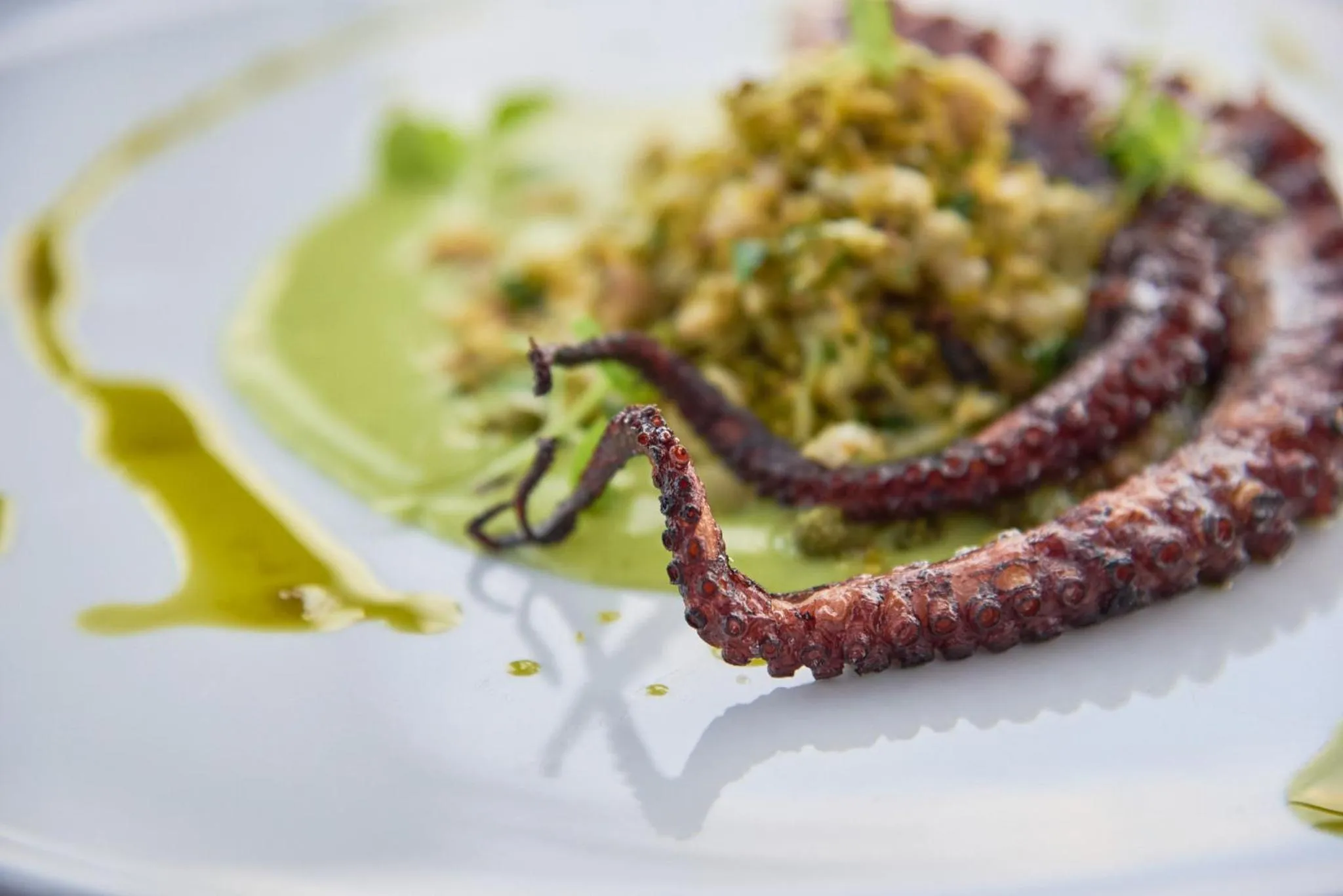 Restaurant/places to eat in Farol Hotel