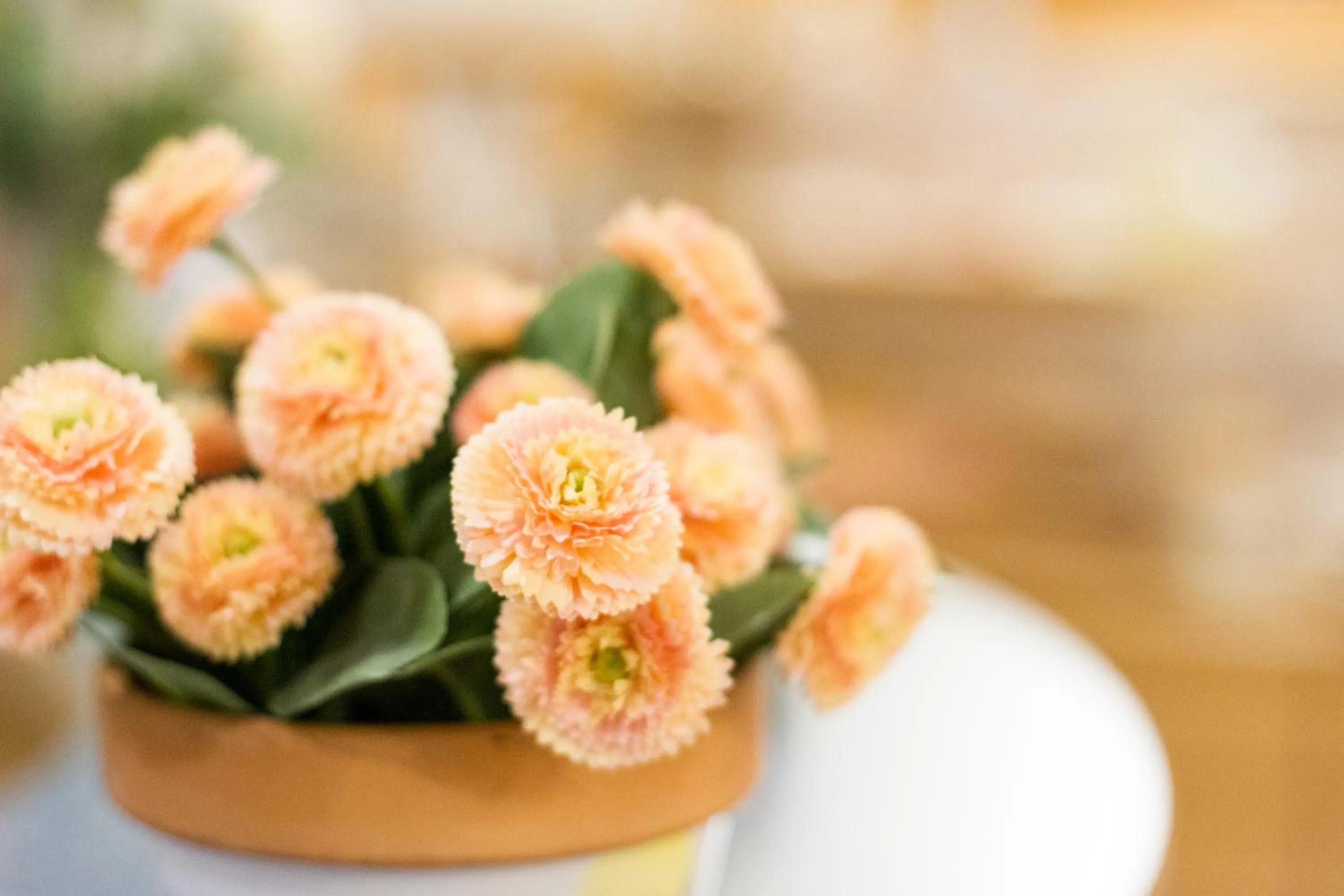 Decorative detail in Hotel Garni Haus zum Gutenberg