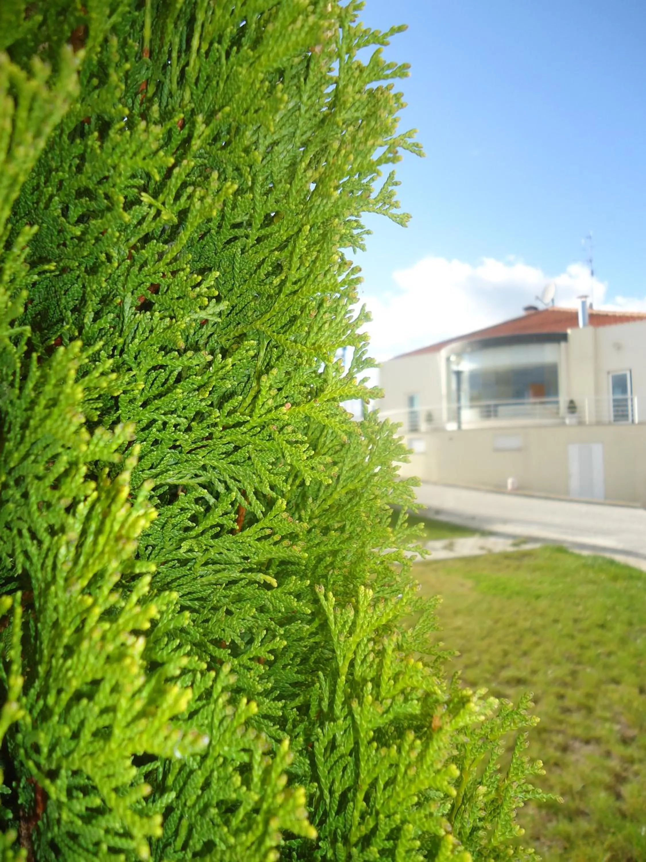 Facade/entrance in Hotel Pombeira