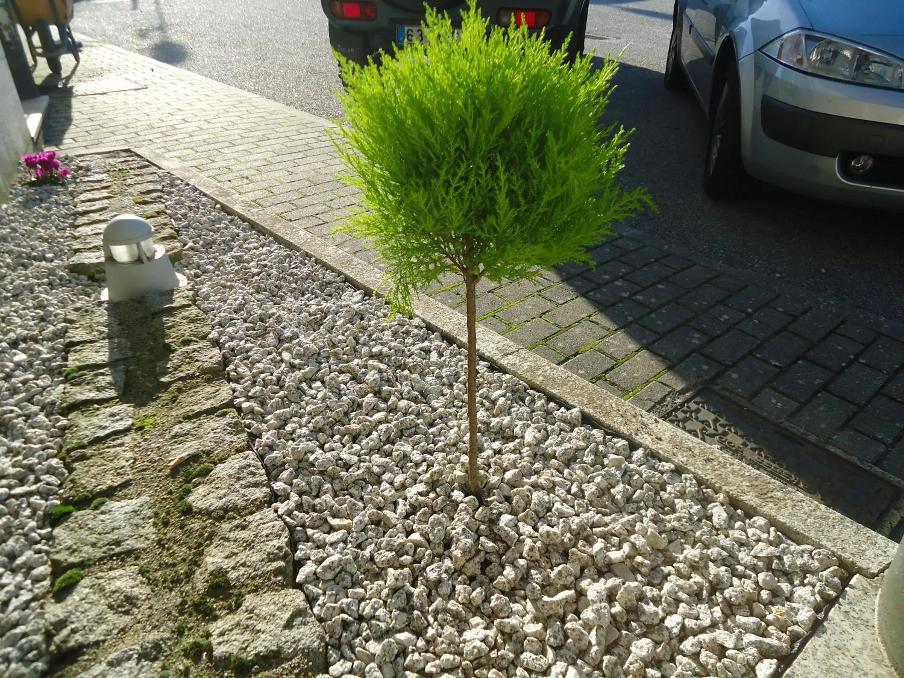 Day in Hotel Pombeira