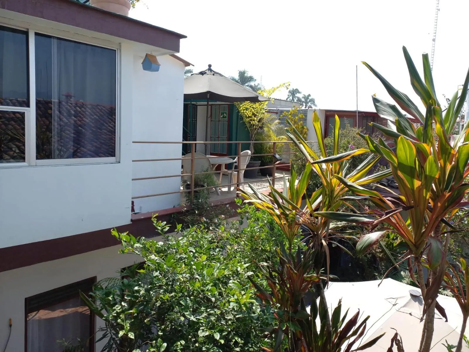 Garden view in Posada Galeria Alberto Sedas
