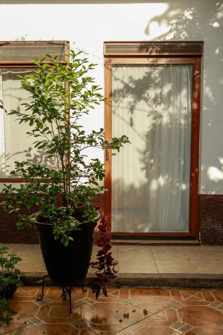 Garden in Posada Galeria Alberto Sedas