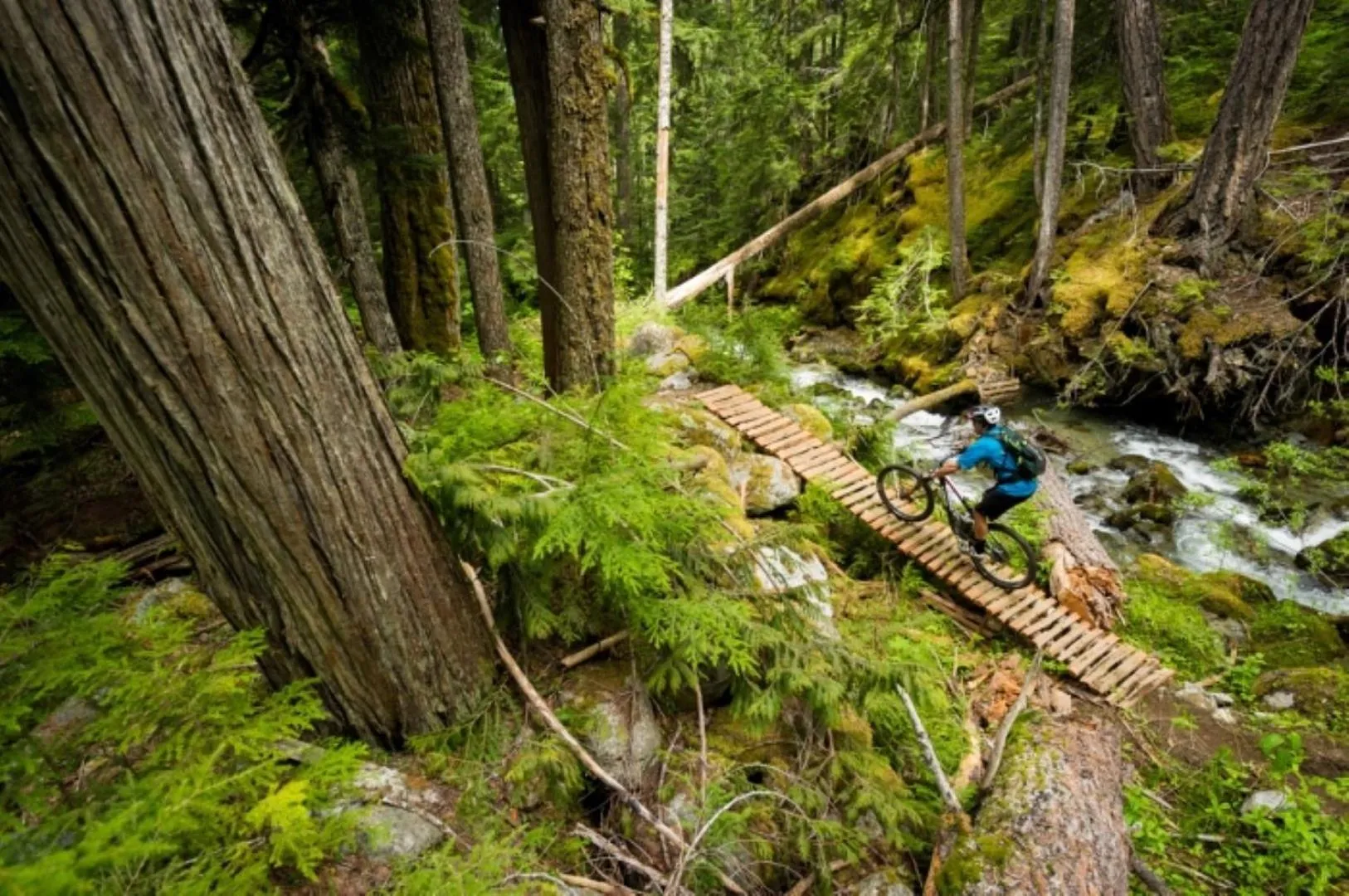 Bright Suite at Ski In/Out Glacier Lodge!