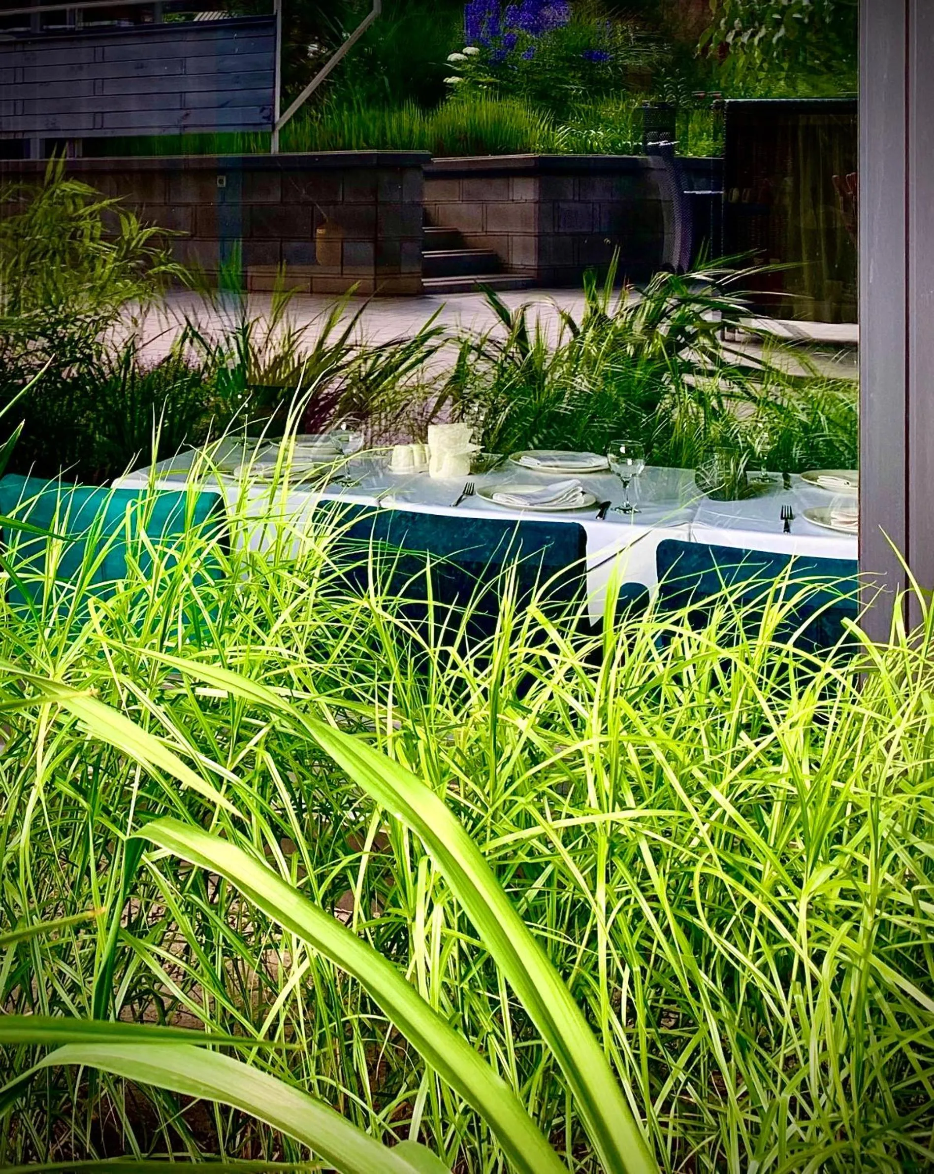 Garden in Villa Four Rooms