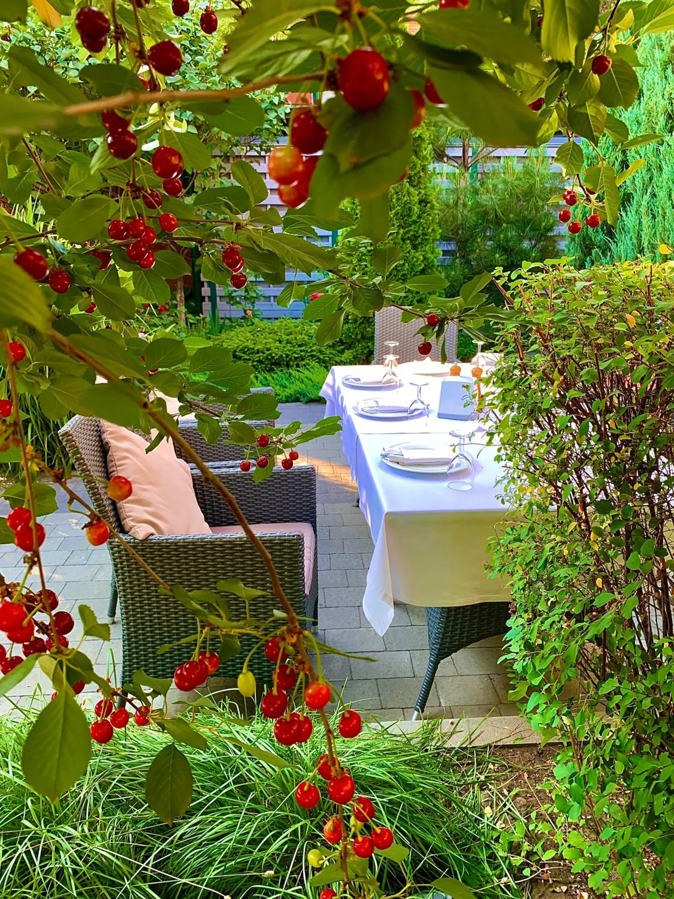 Activities in Villa Four Rooms