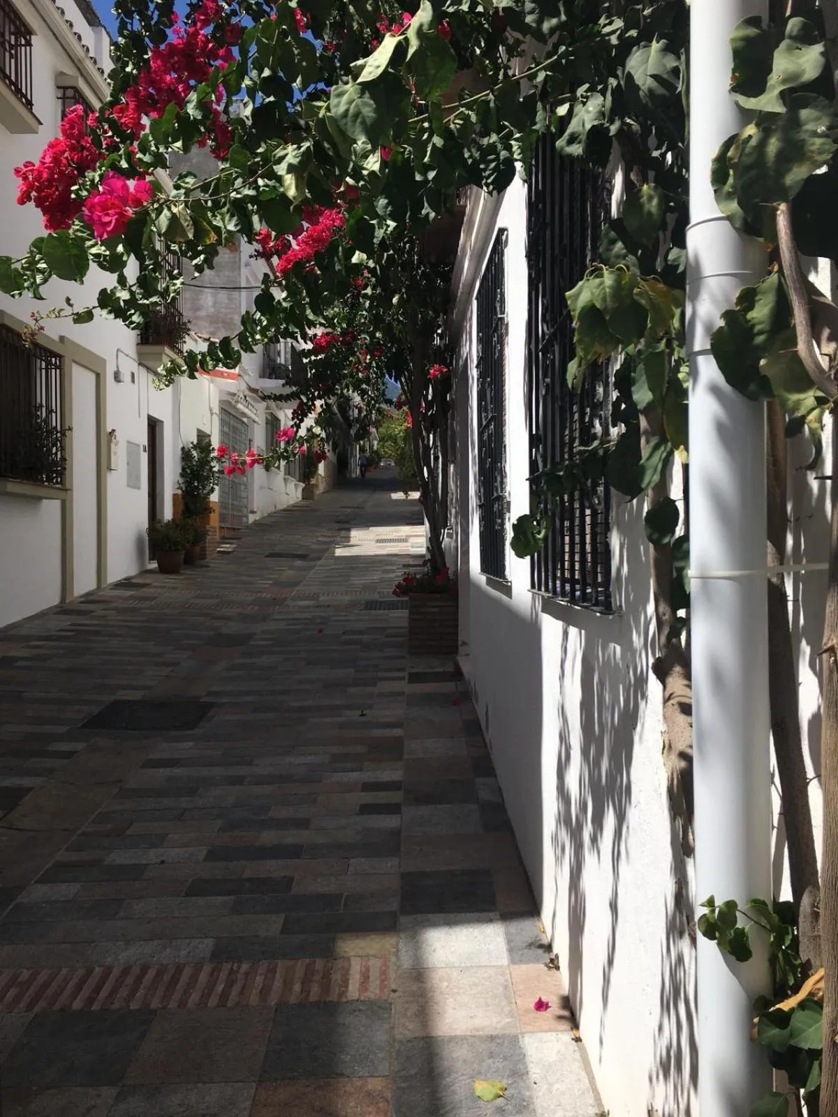 Neighbourhood in Boutique Princesa