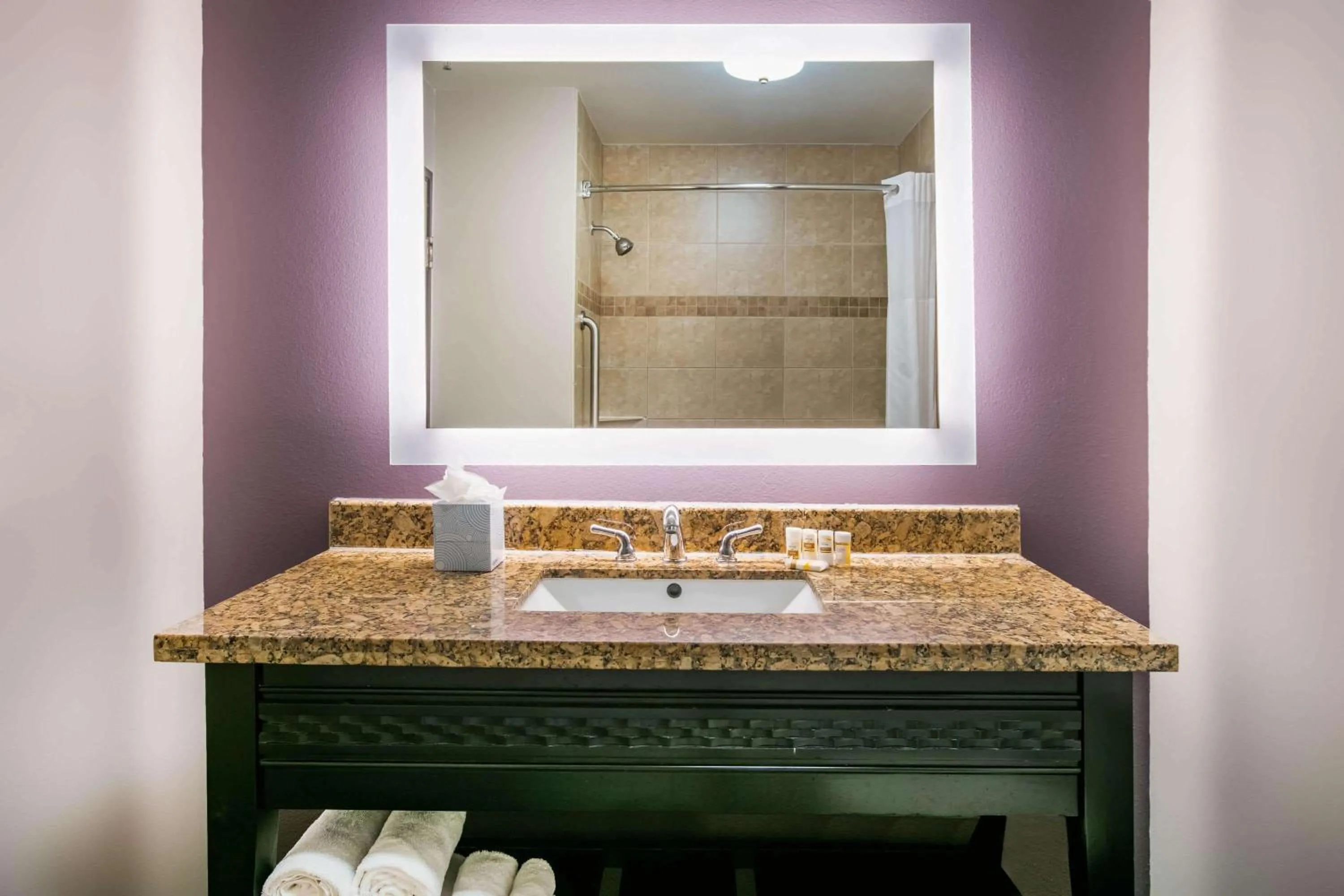 Bathroom in La Quinta by Wyndham DFW Airport West - Euless