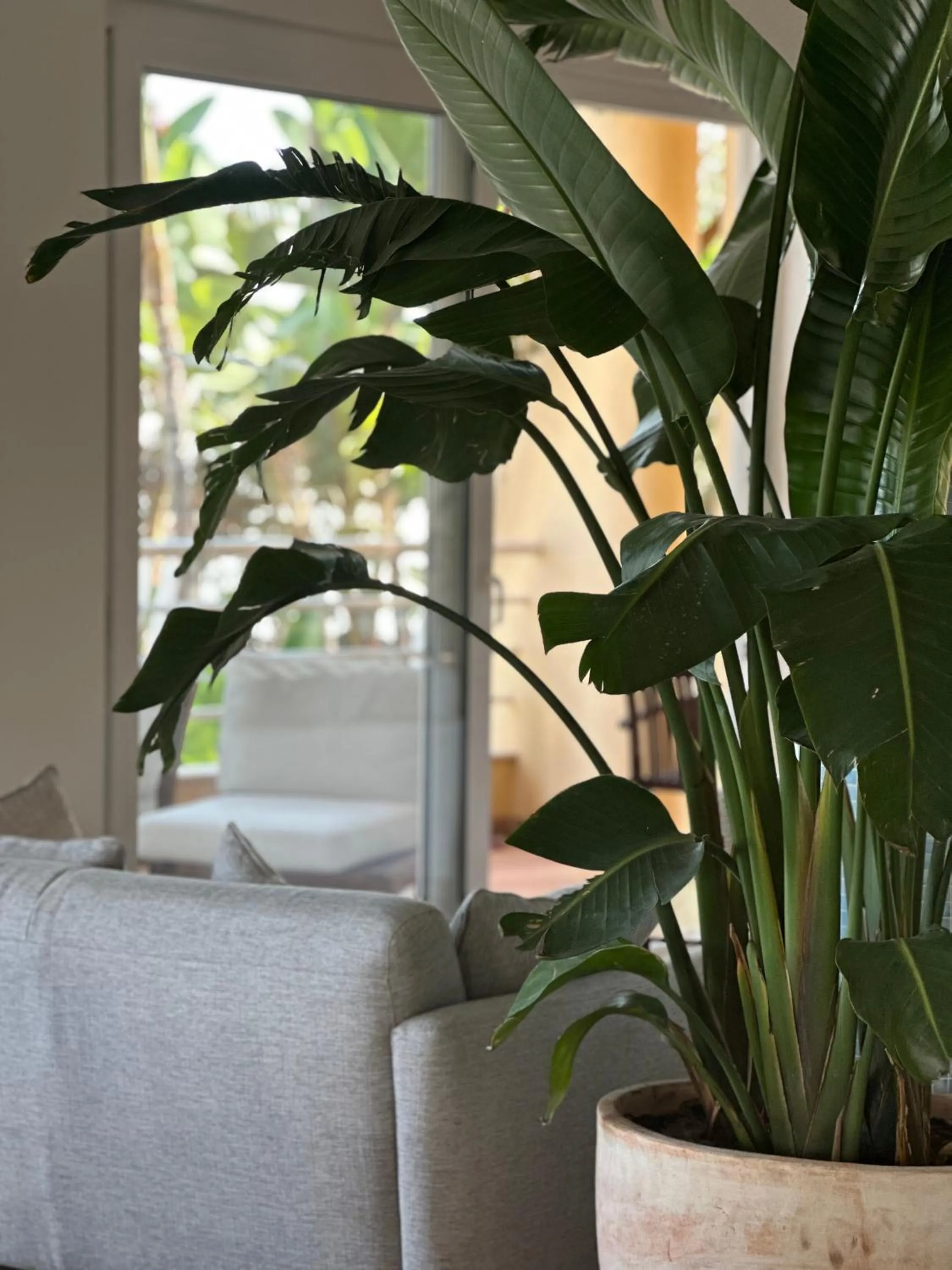 Living room in Vila Luz