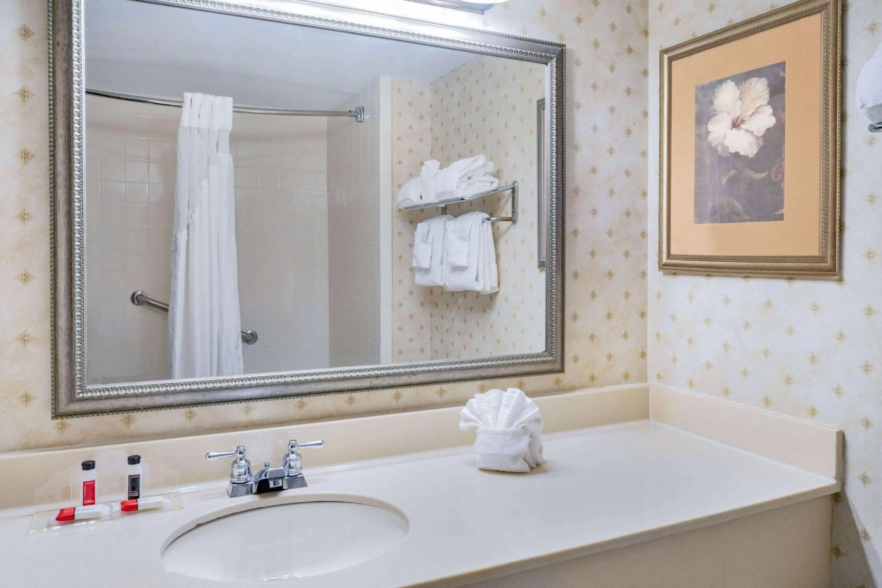 Bathroom in Wingate by Wyndham Atlanta-Duluth