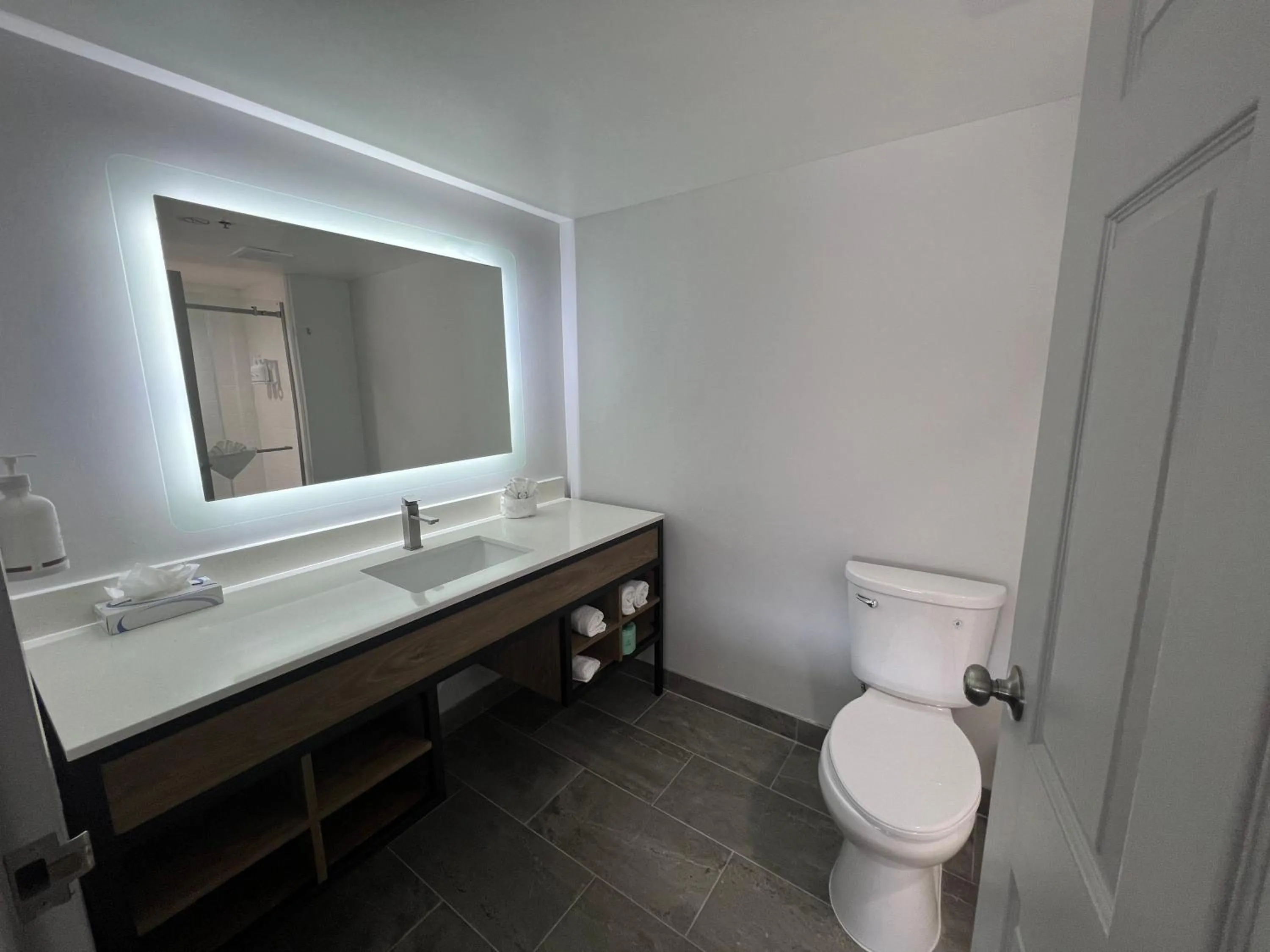 Toilet in Wingate by Wyndham Atlanta-Duluth