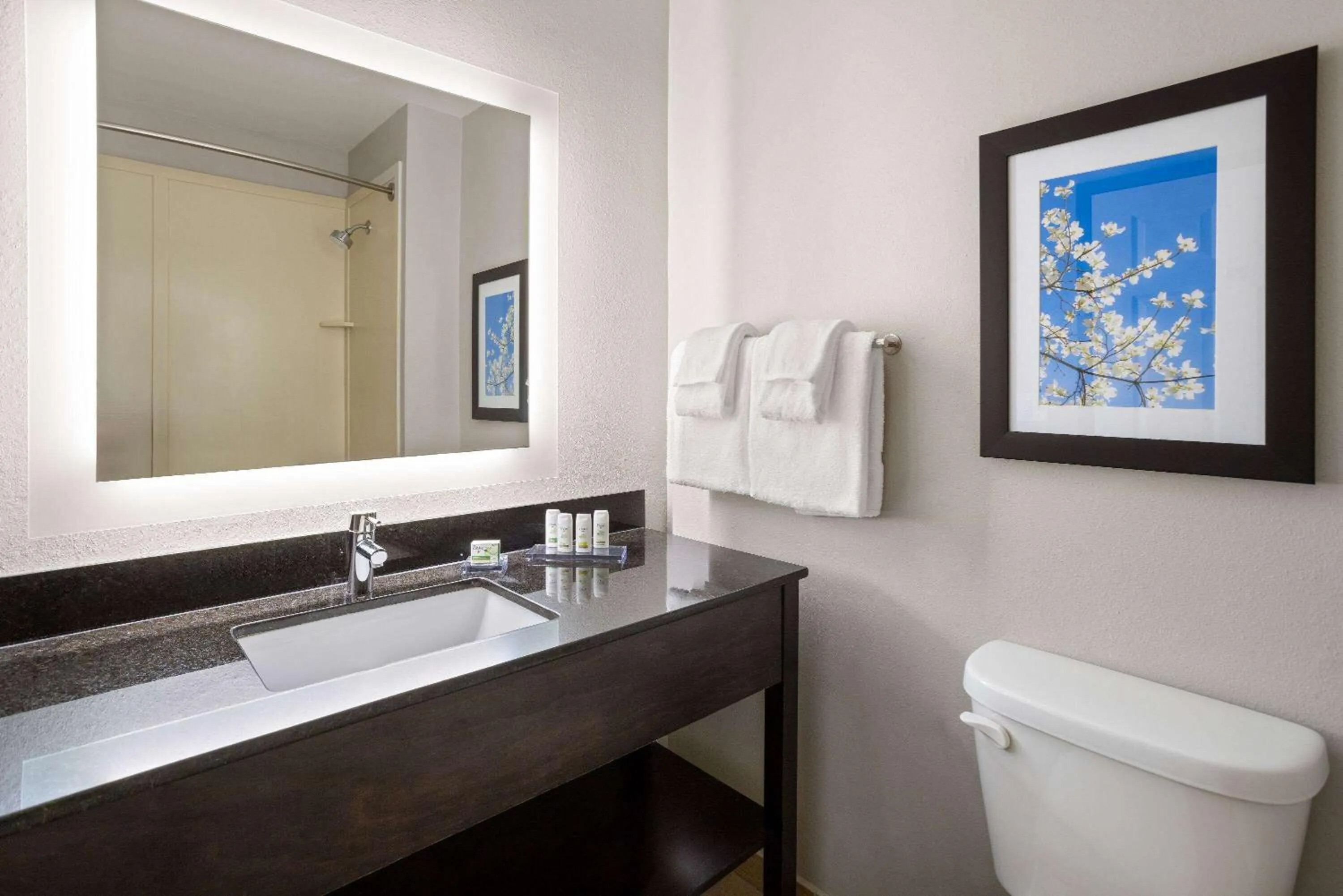 Bathroom in La Quinta Inn & Suites by Wyndham Mooresville