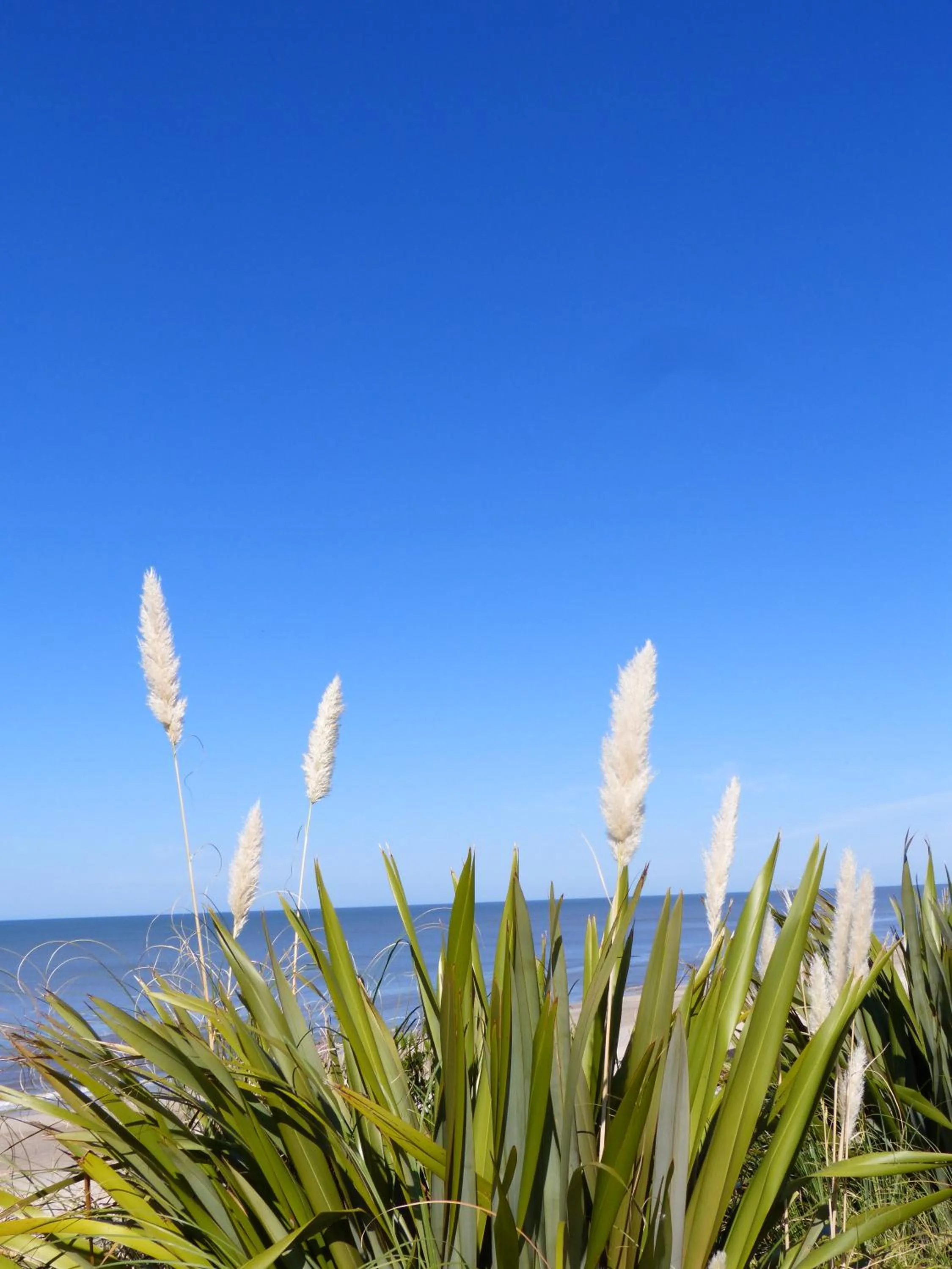 Nearby landmark in El Descubrimiento Resort Club