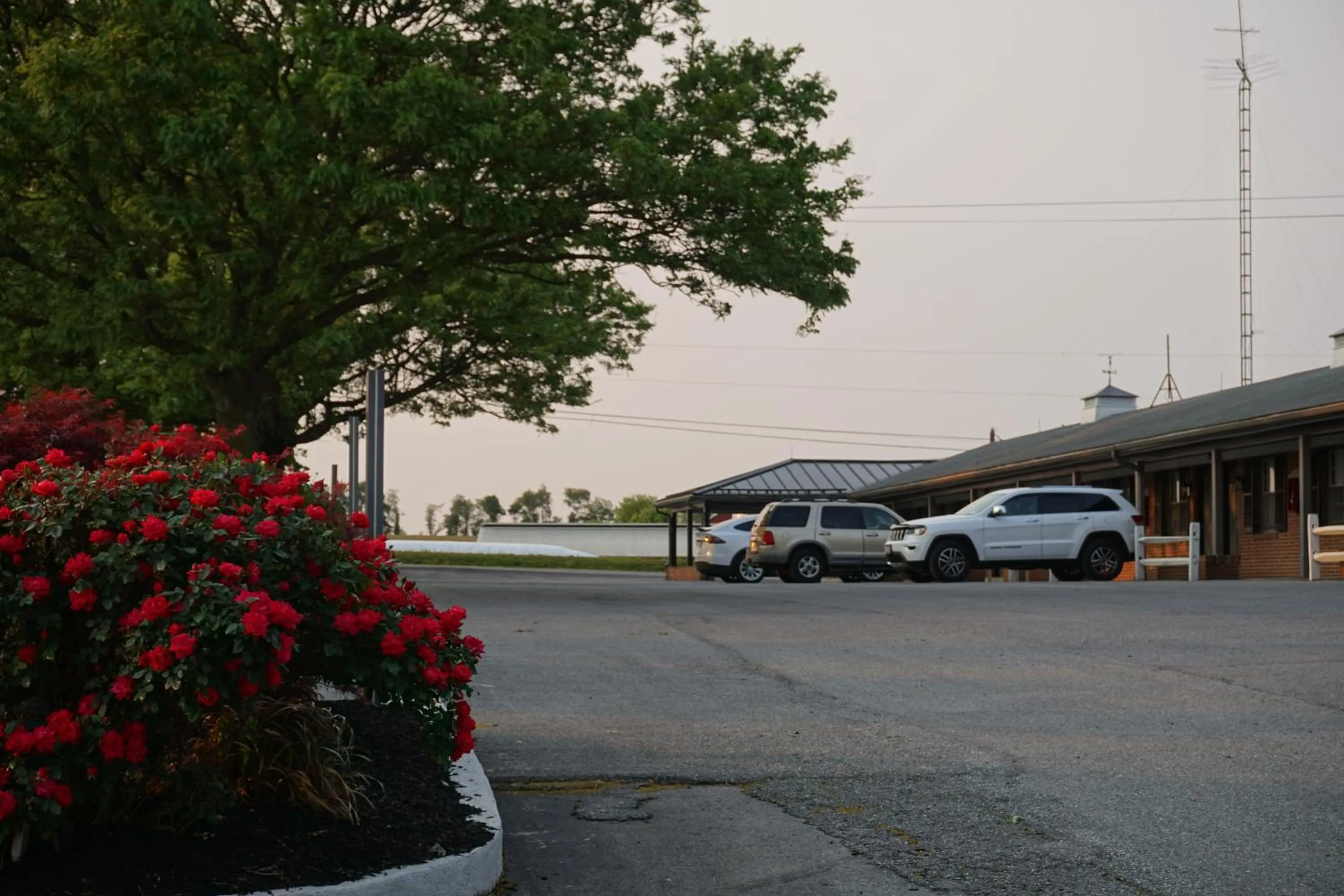 Parking in Harvest Drive Family Inn - Renovated Rooms