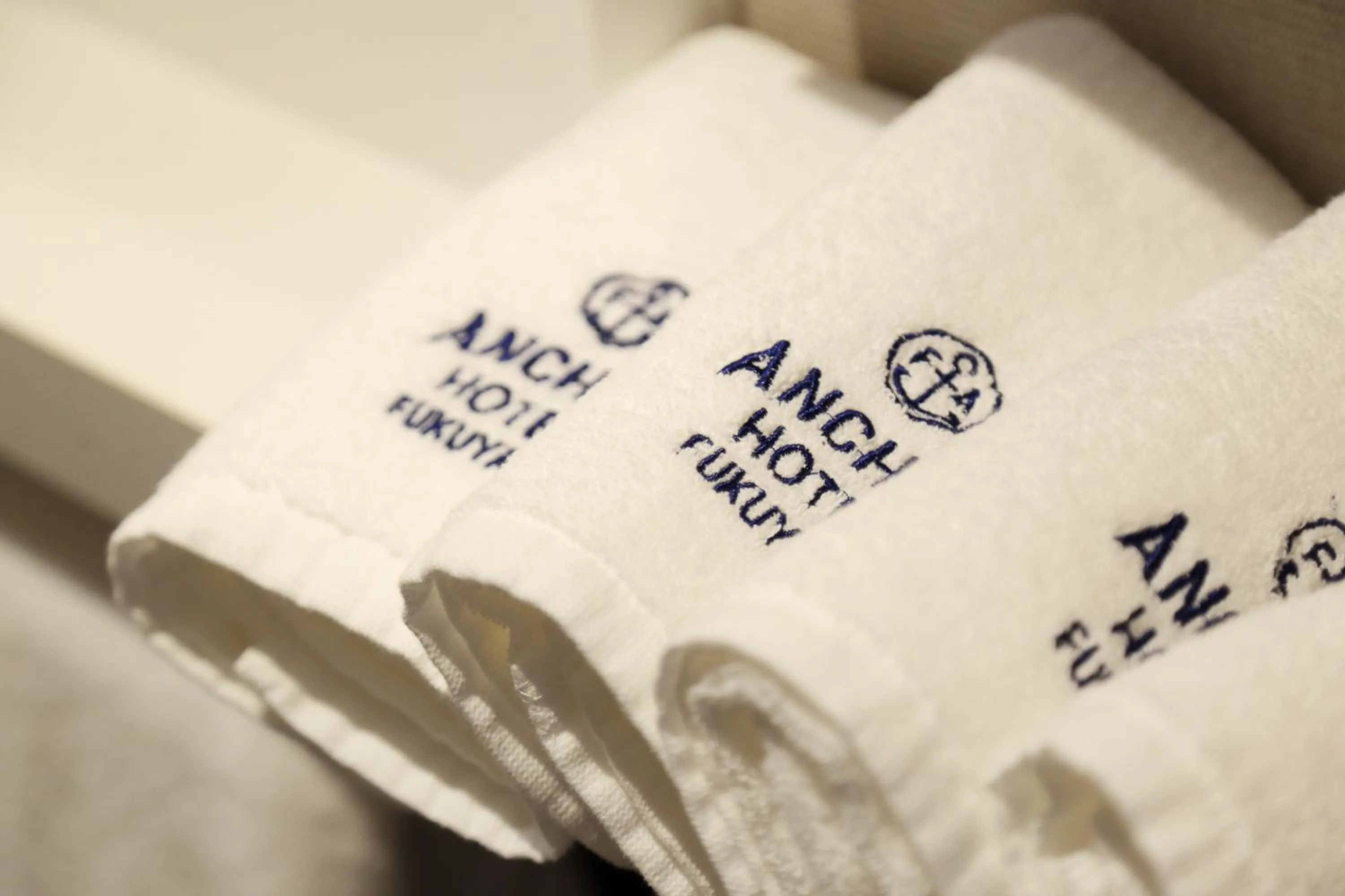 Photo of the whole room in Anchor Hotel Fukuyama