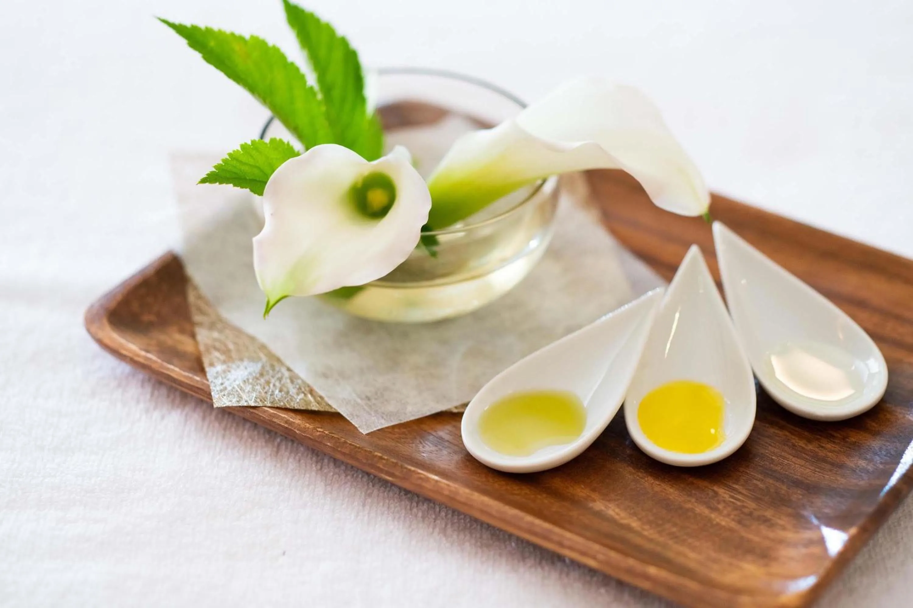 Spa and wellness centre/facilities in Hyatt Regency Hakone Resort and Spa