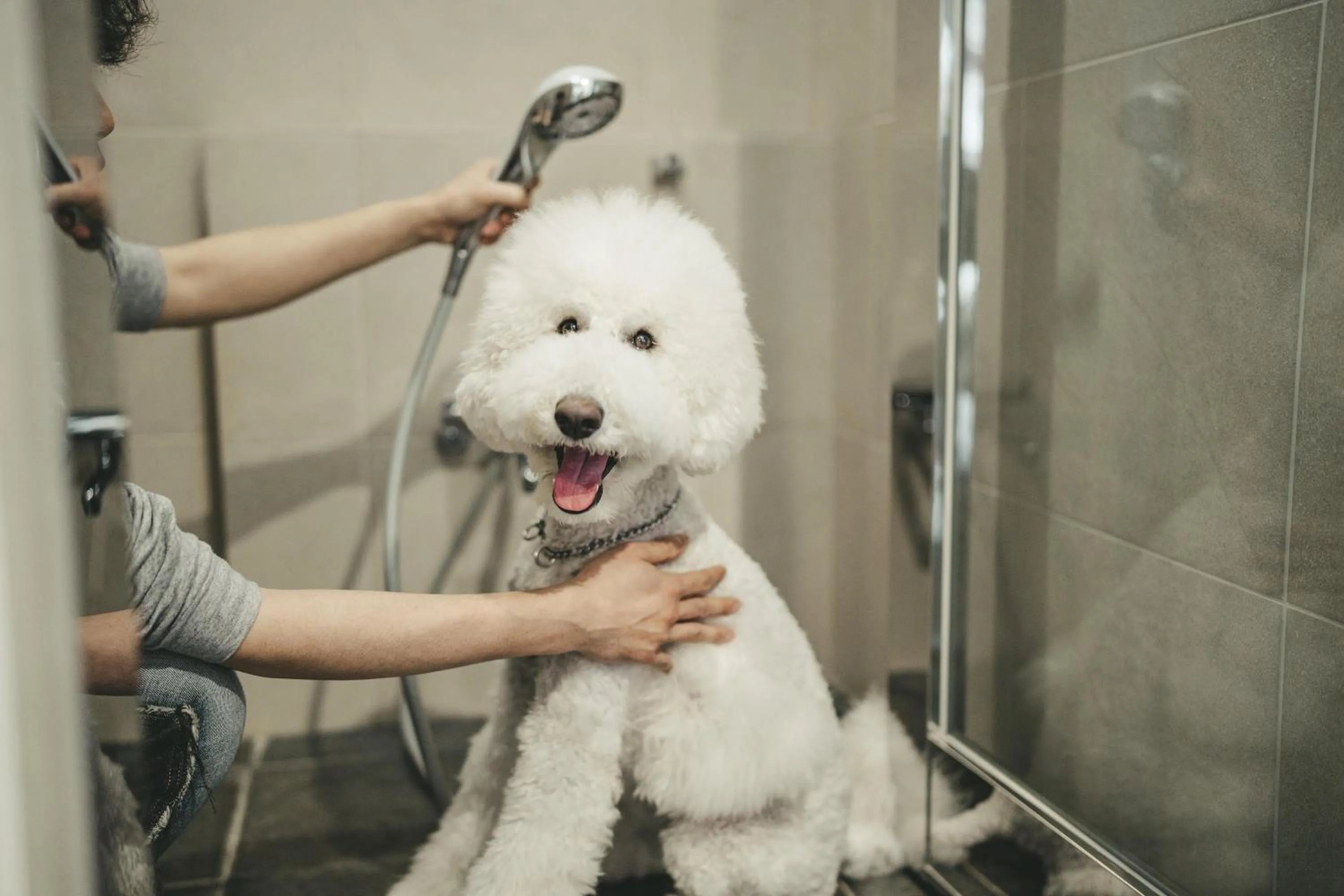 Hyatt Regency Hakone Resort and Spa