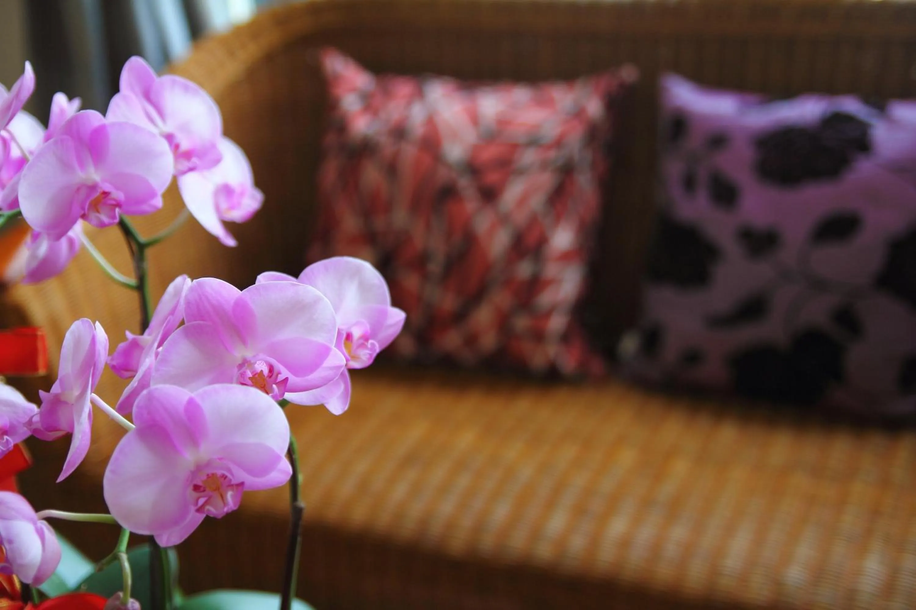 Other in Jimei Homestay