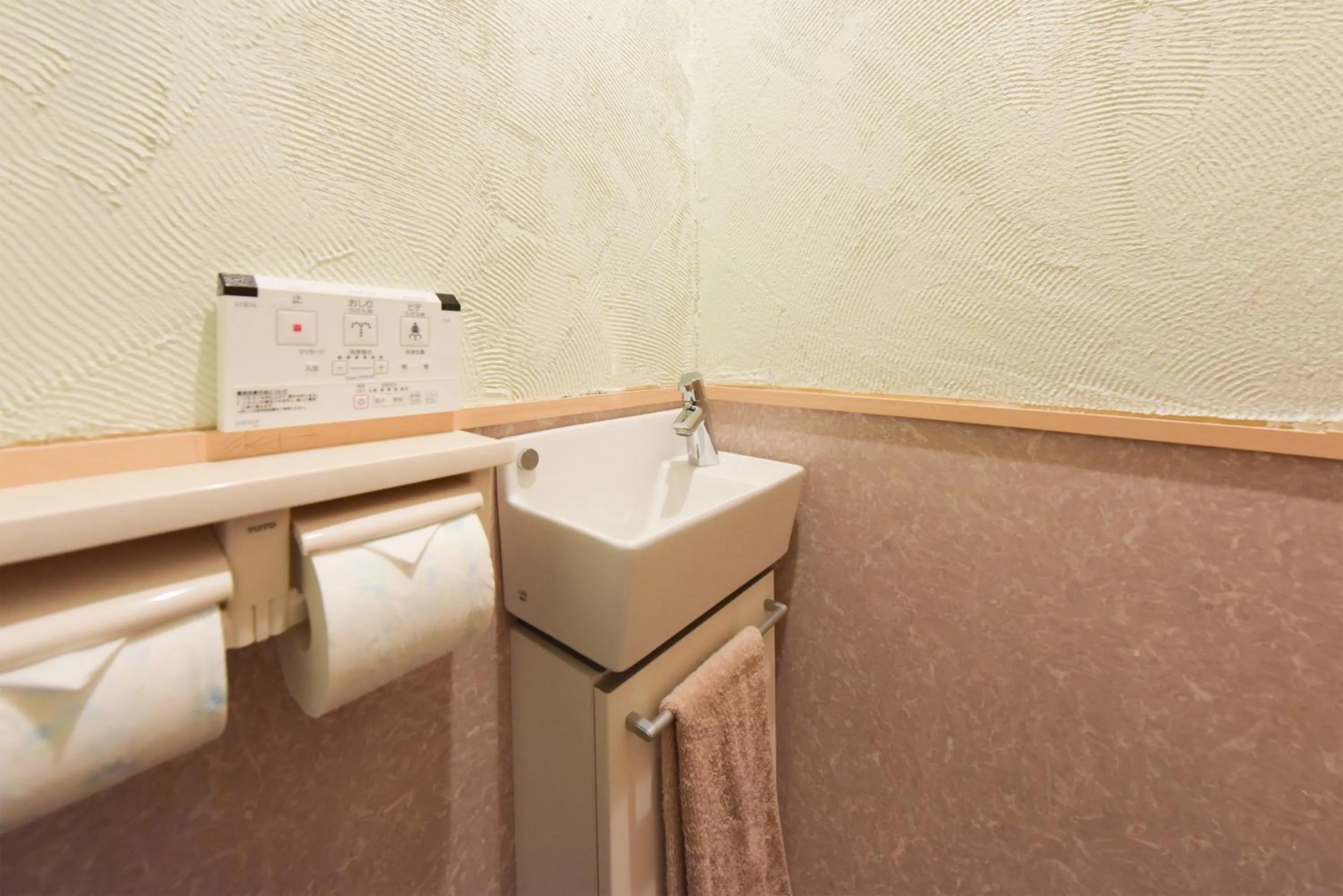 Toilet in Yoyogi House