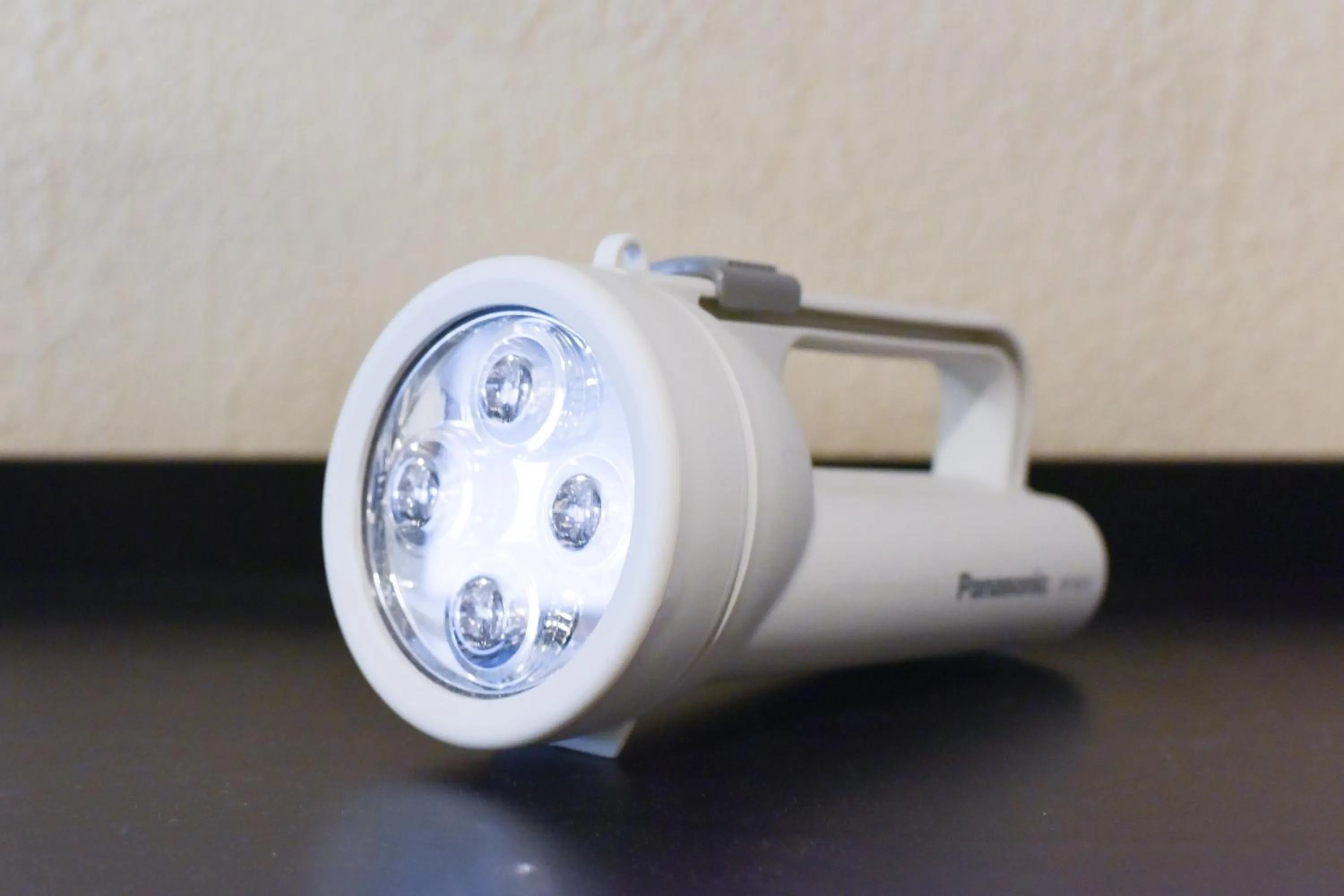 Photo of the whole room in Yoyogi House