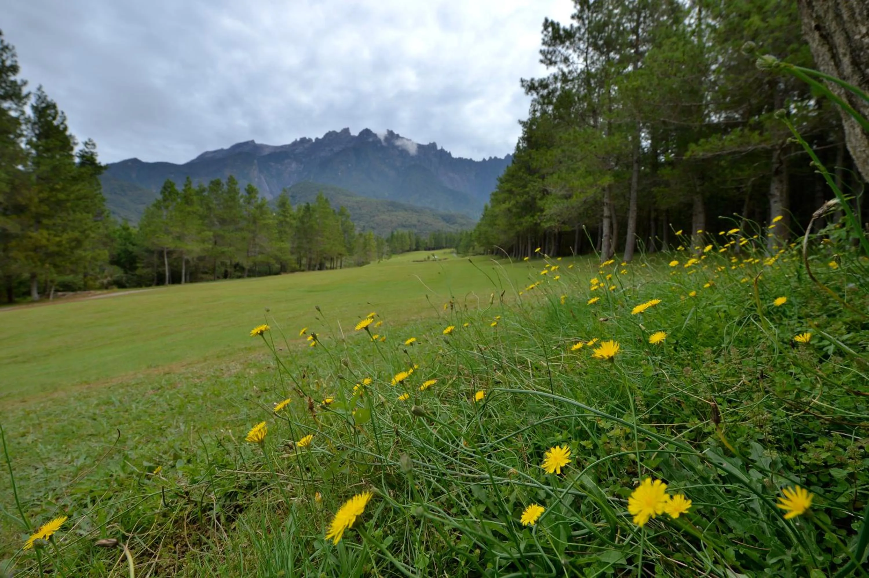 Golfcourse in H Benjamin Residence
