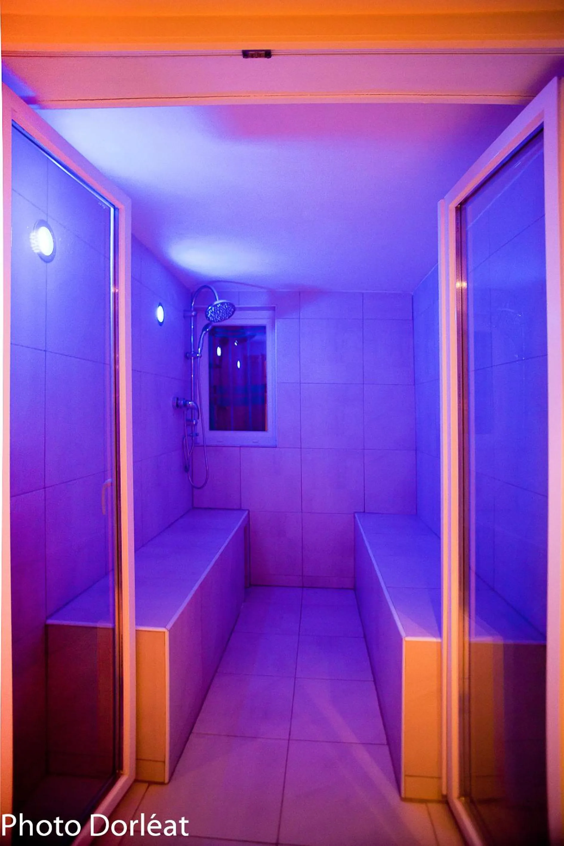 Spa and wellness centre/facilities in Gîte François 1er