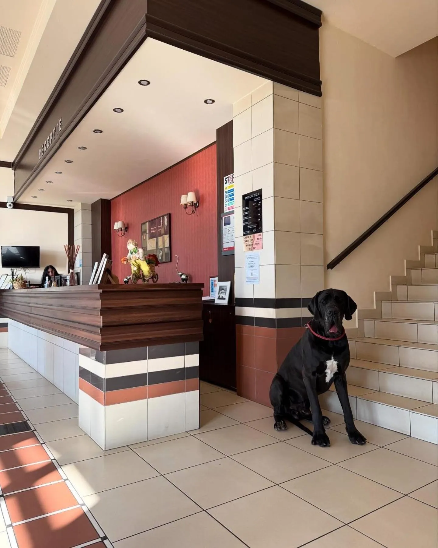 Property building in Hotel Aurelia