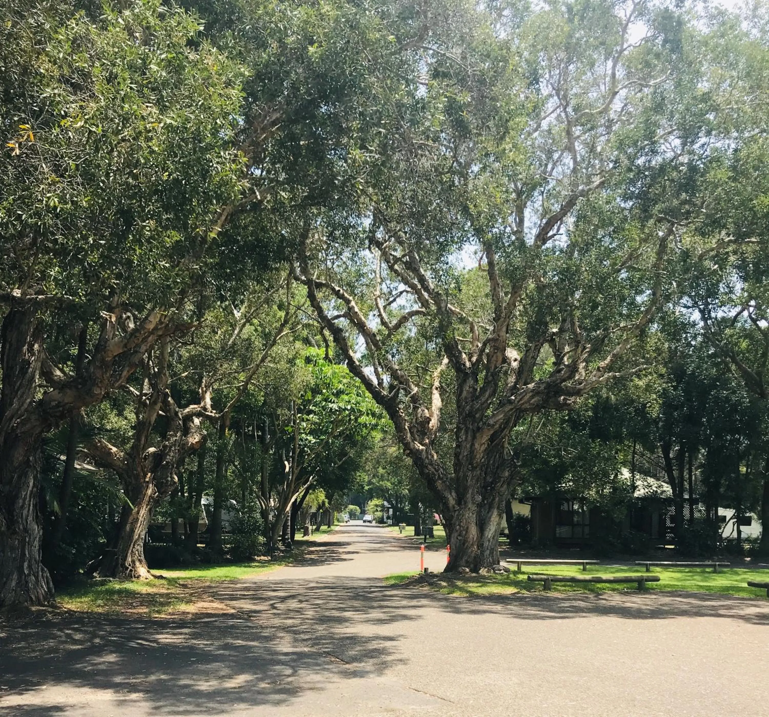 Natural landscape in Lighthouse Beach Holiday Village