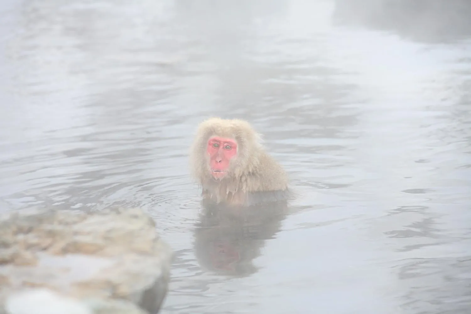 Nearby landmark in Shibu Hotel